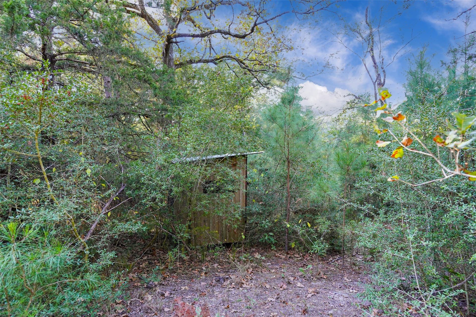 40 acres in Freestone County - photo 2