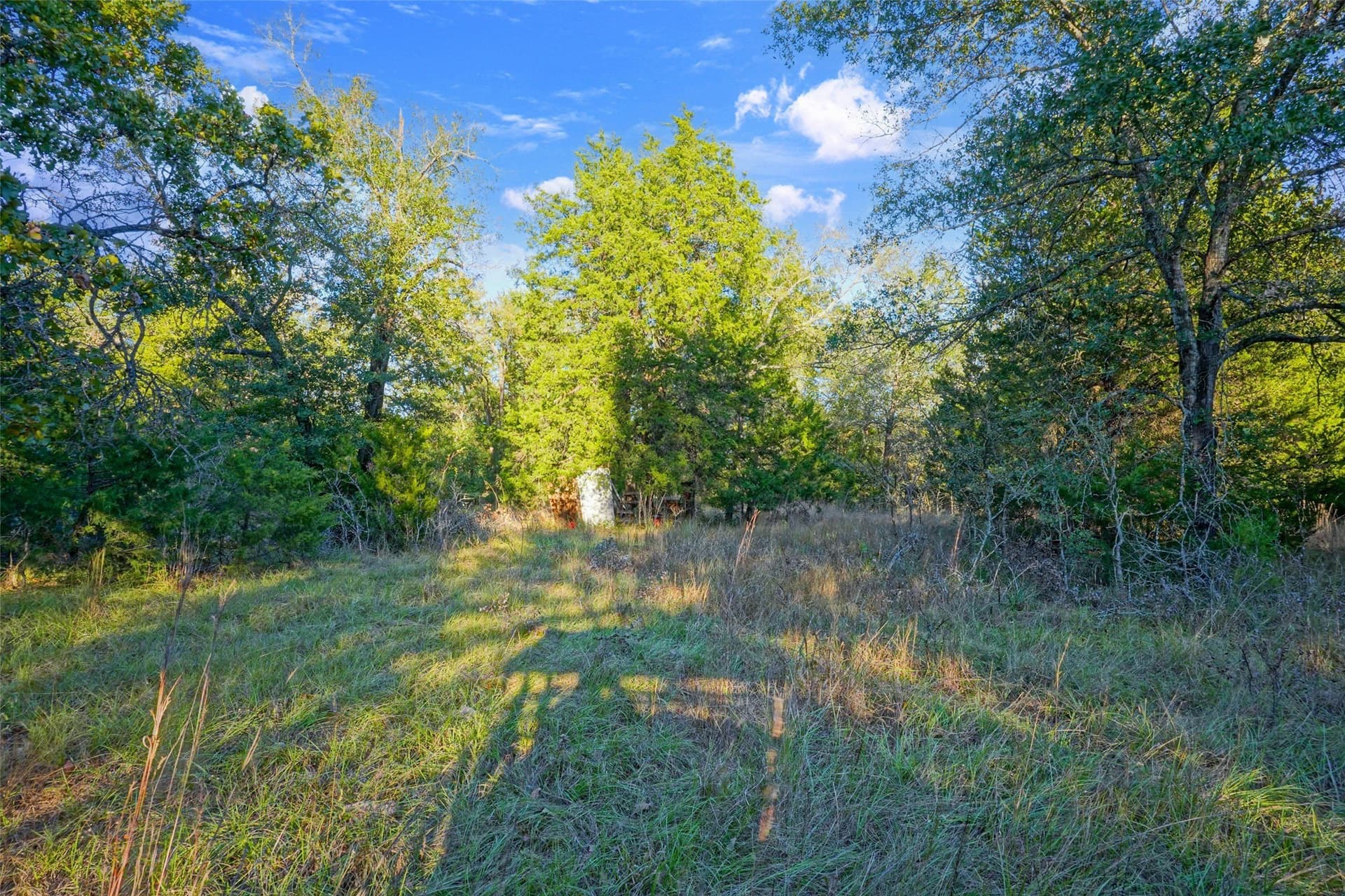 40 acres in Freestone County - photo 21