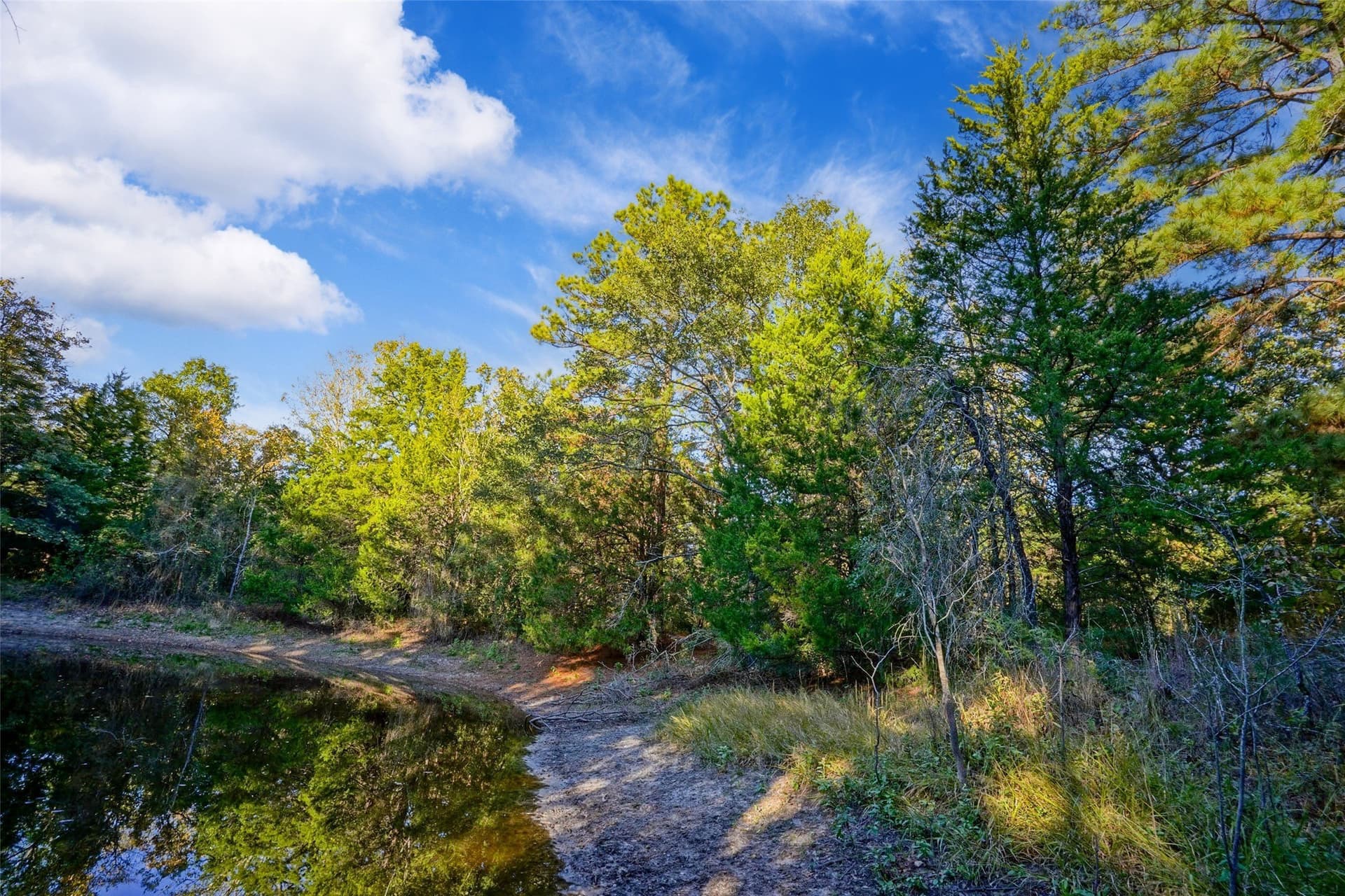 40 acres in Freestone County - photo 12
