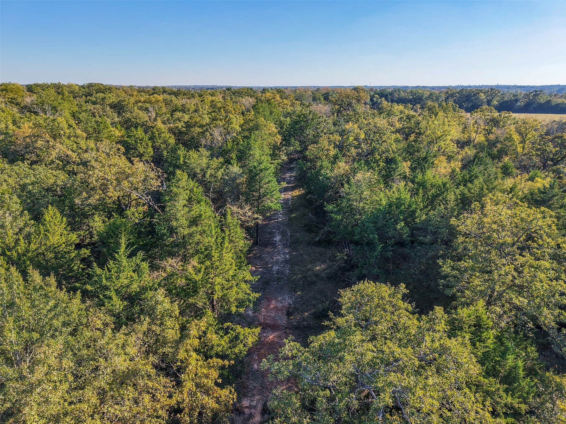 40 acres in Freestone County - photo 16