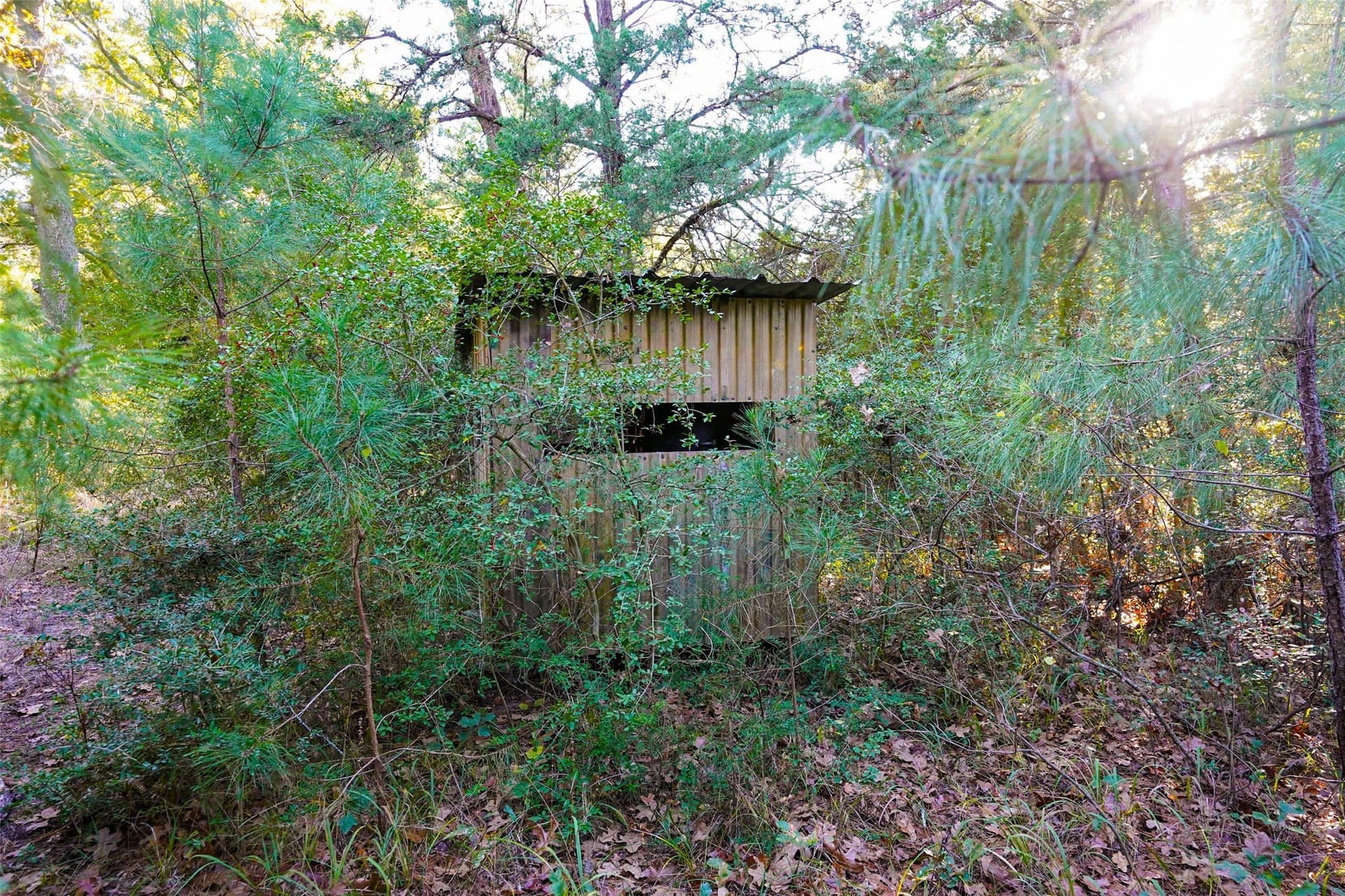 40 acres in Freestone County - photo 14