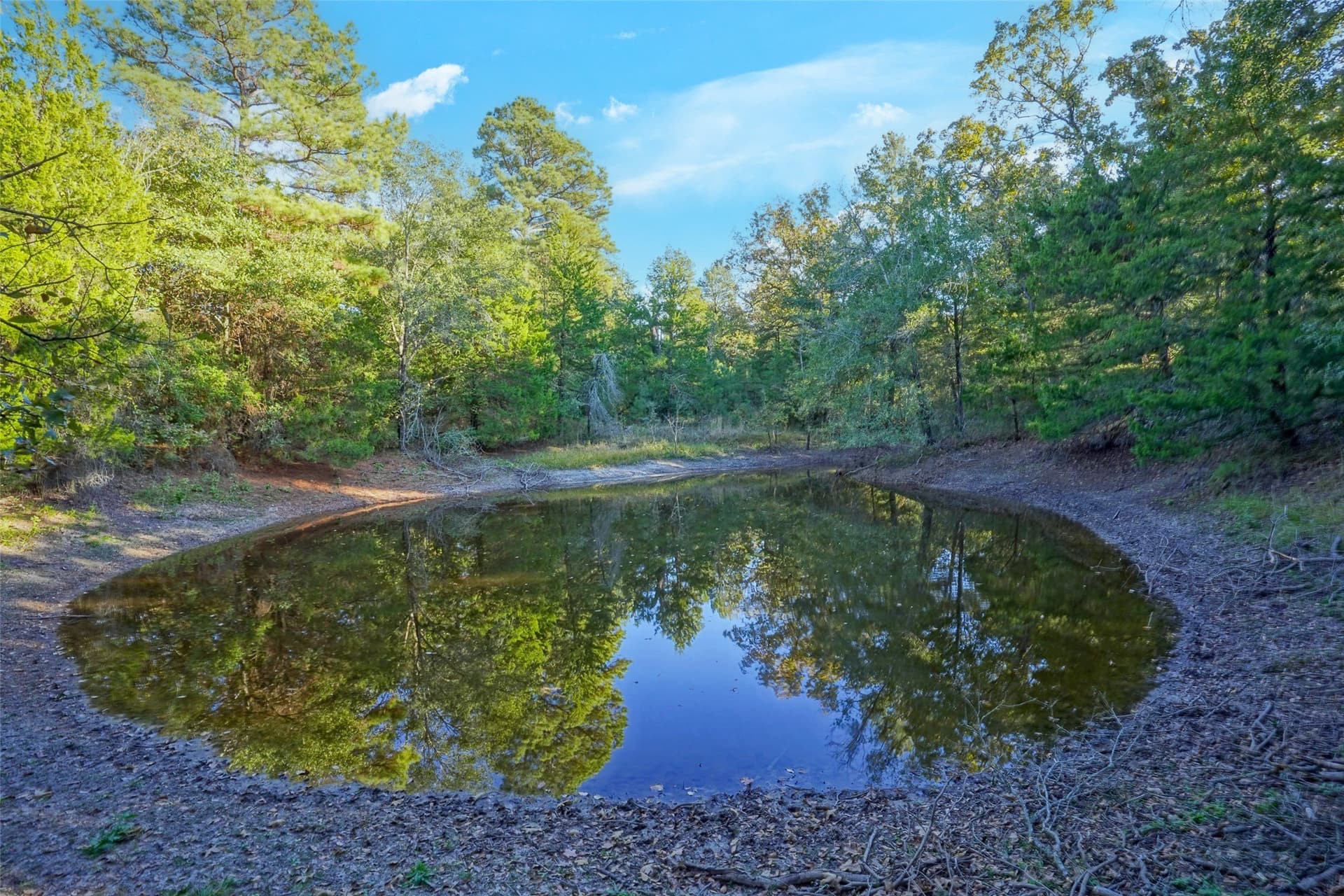 40 acres in Freestone County - photo 23