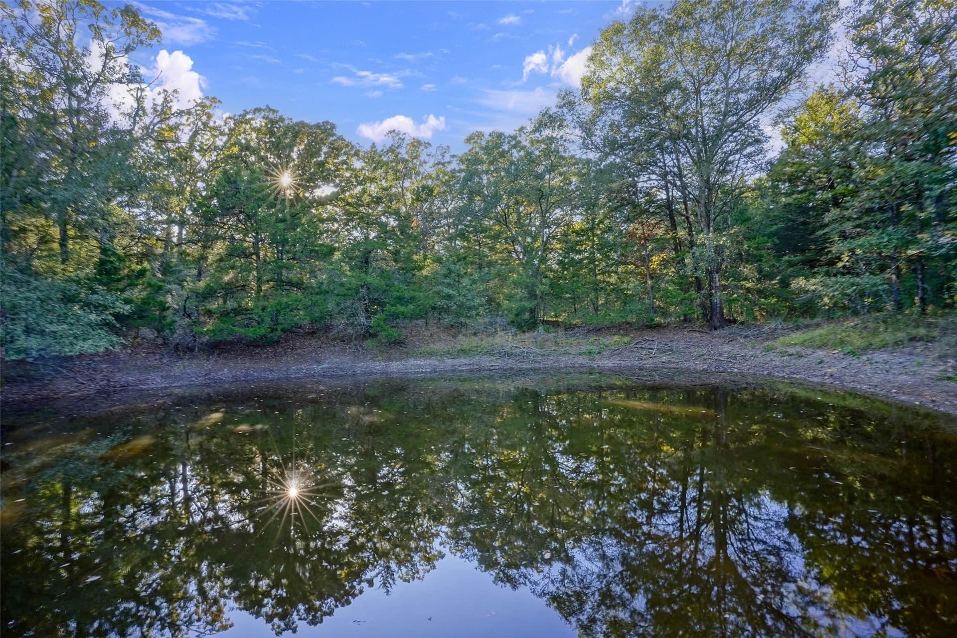 40 acres in Freestone County - photo 9