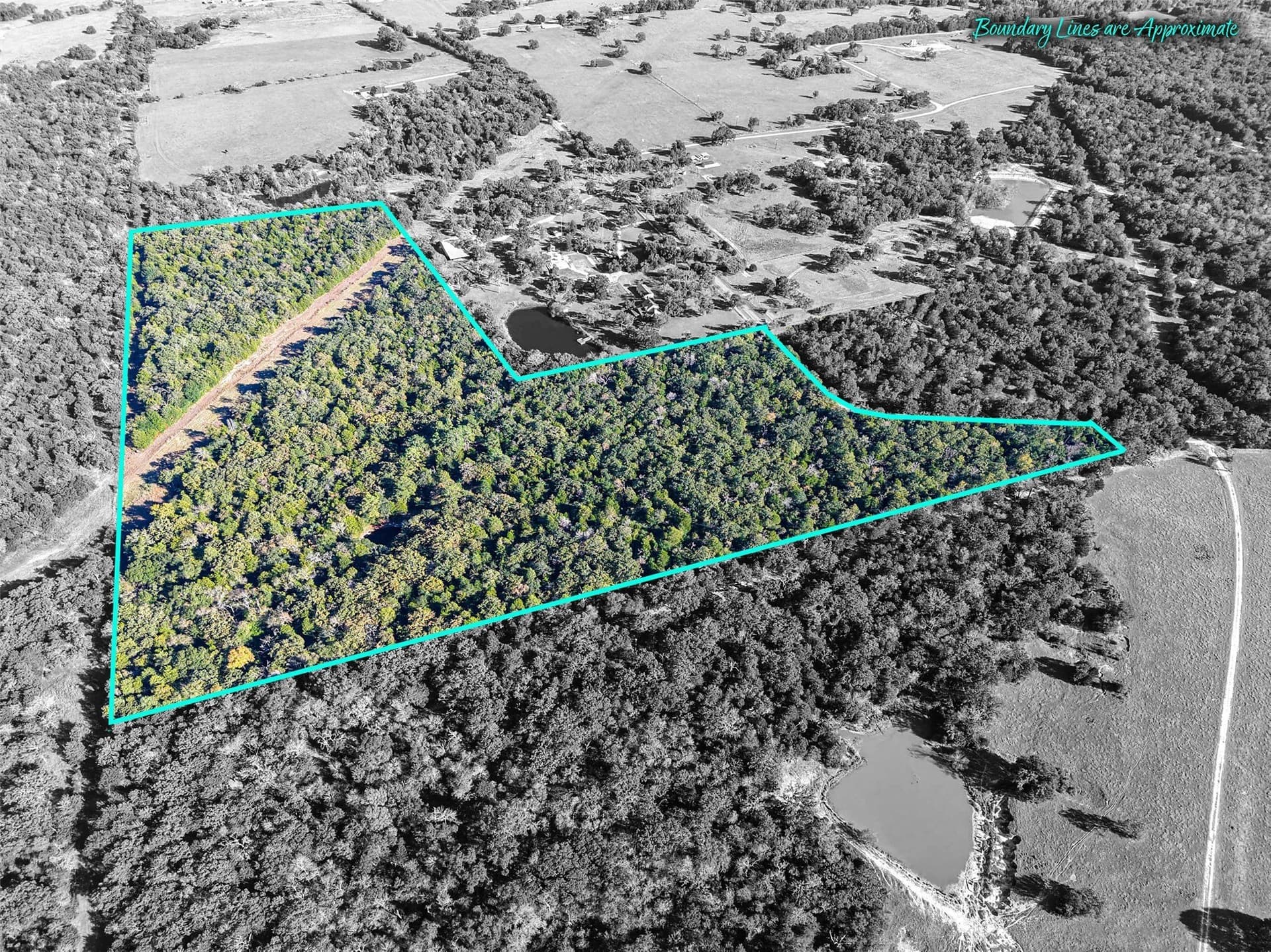 40 acres in Freestone County - photo 4