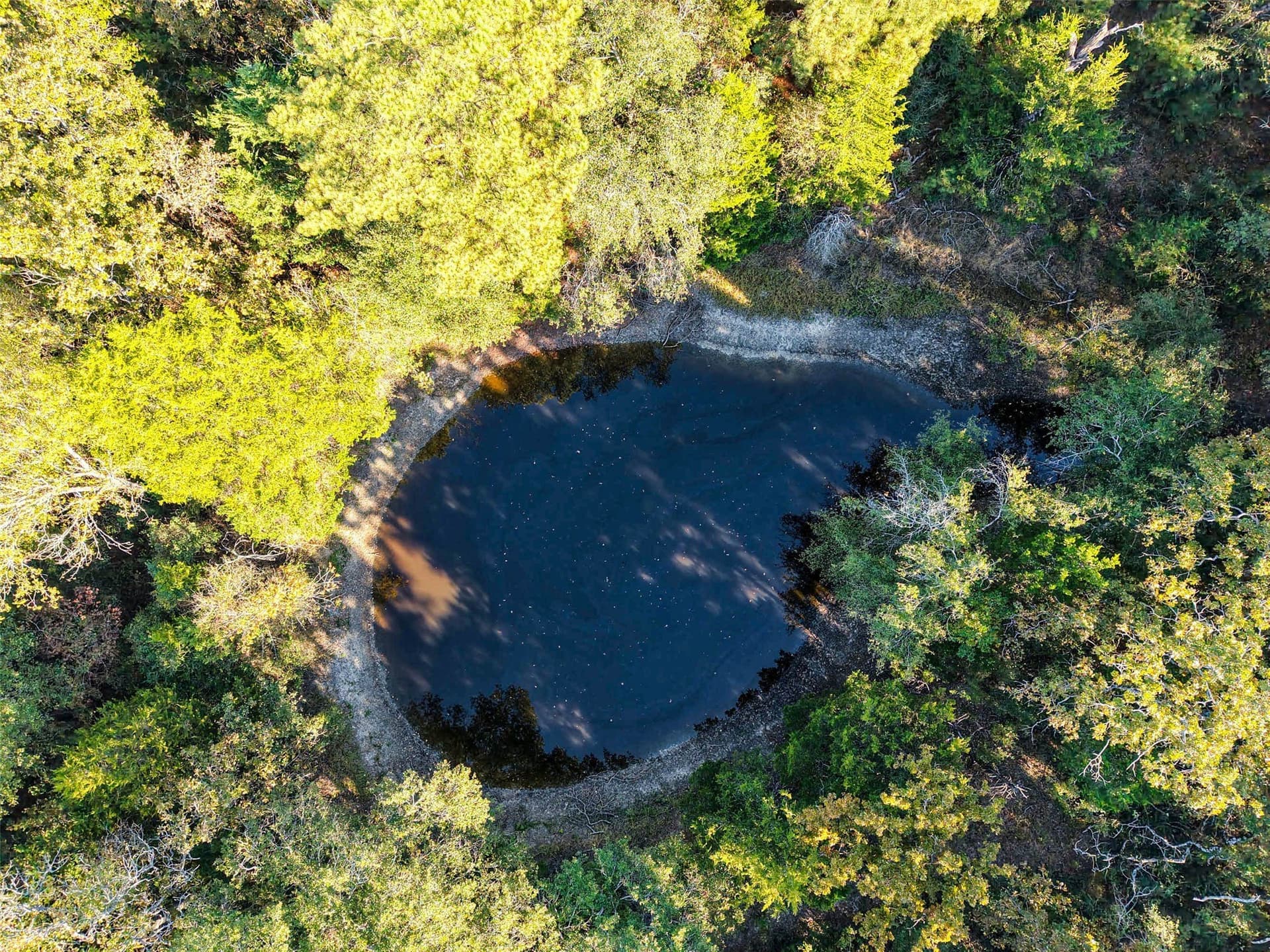 40 acres in Freestone County - photo 13