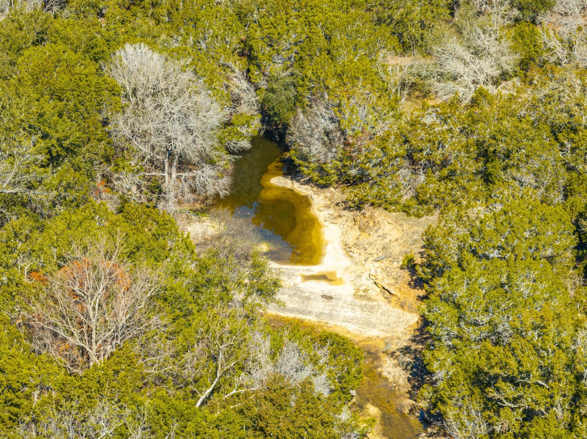 620 acres in Coryell County - photo 20