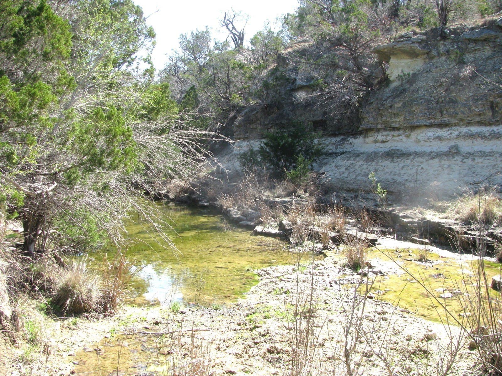 620 acres in Coryell County - photo 35