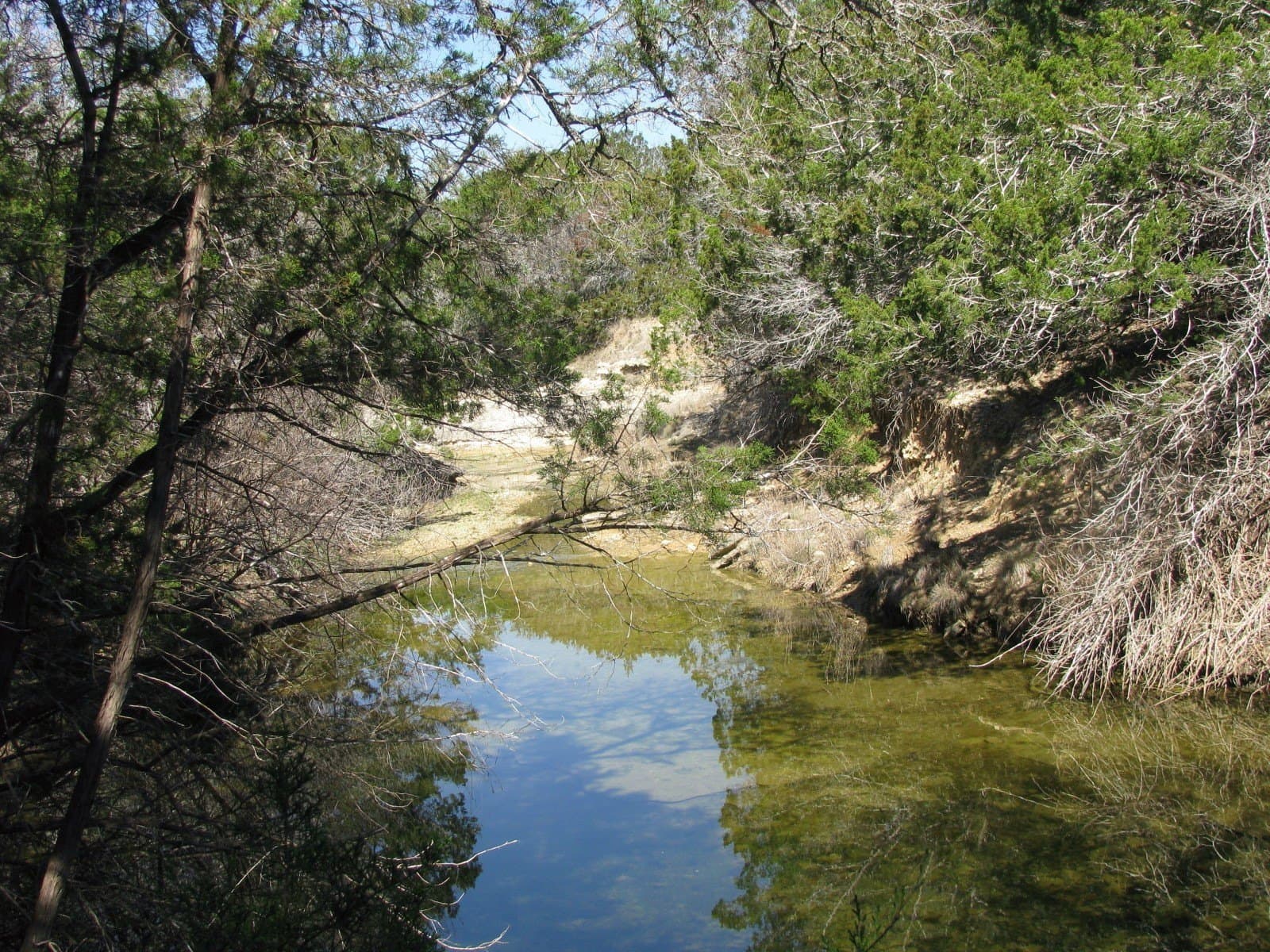 620 acres in Coryell County - photo 34