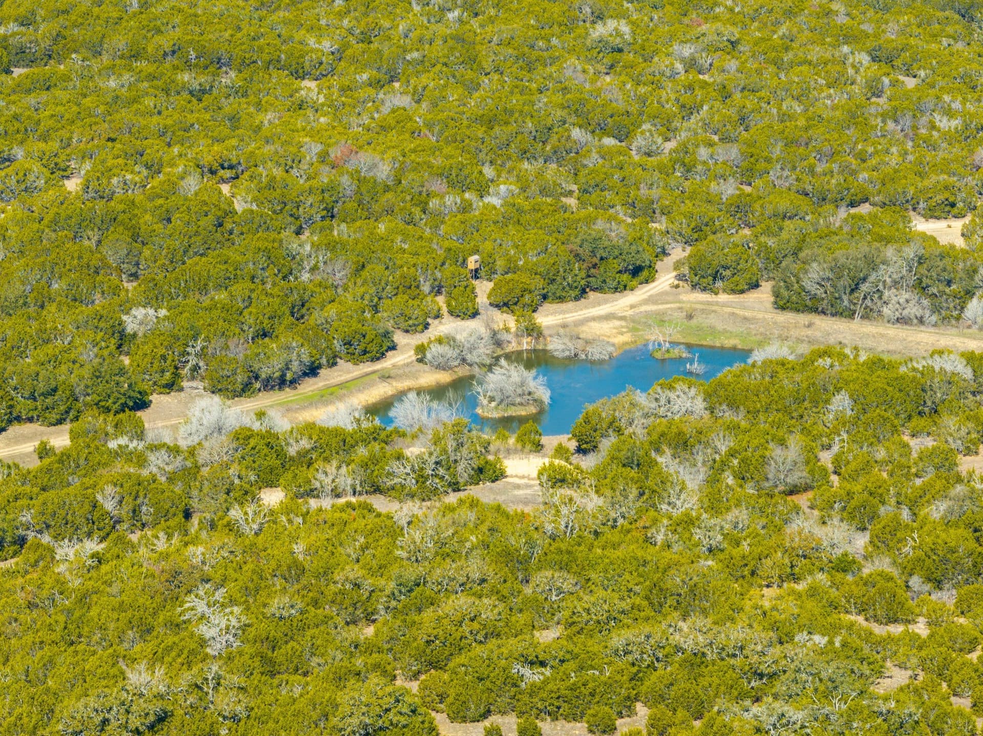 620 acres in Coryell County - photo 19