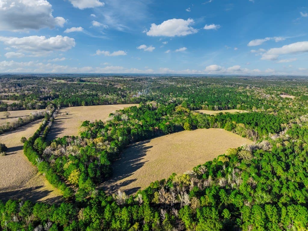 35.8 acres in Anderson County featured view