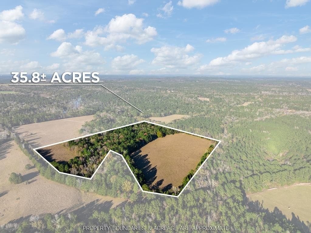 35.8 acres in Anderson County