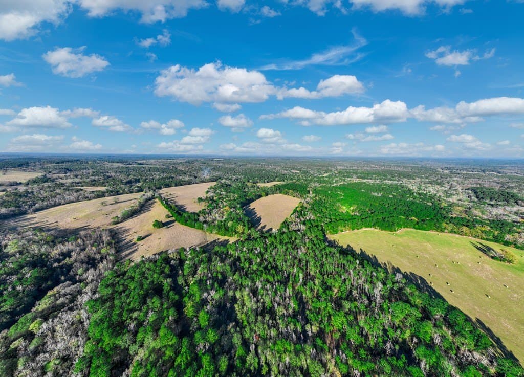 35.8 acres in Anderson County gallery image 3