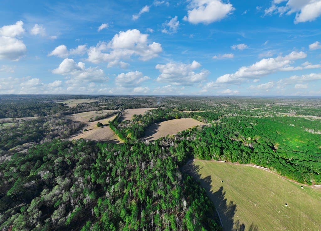 35.8 acres in Anderson County gallery image 4