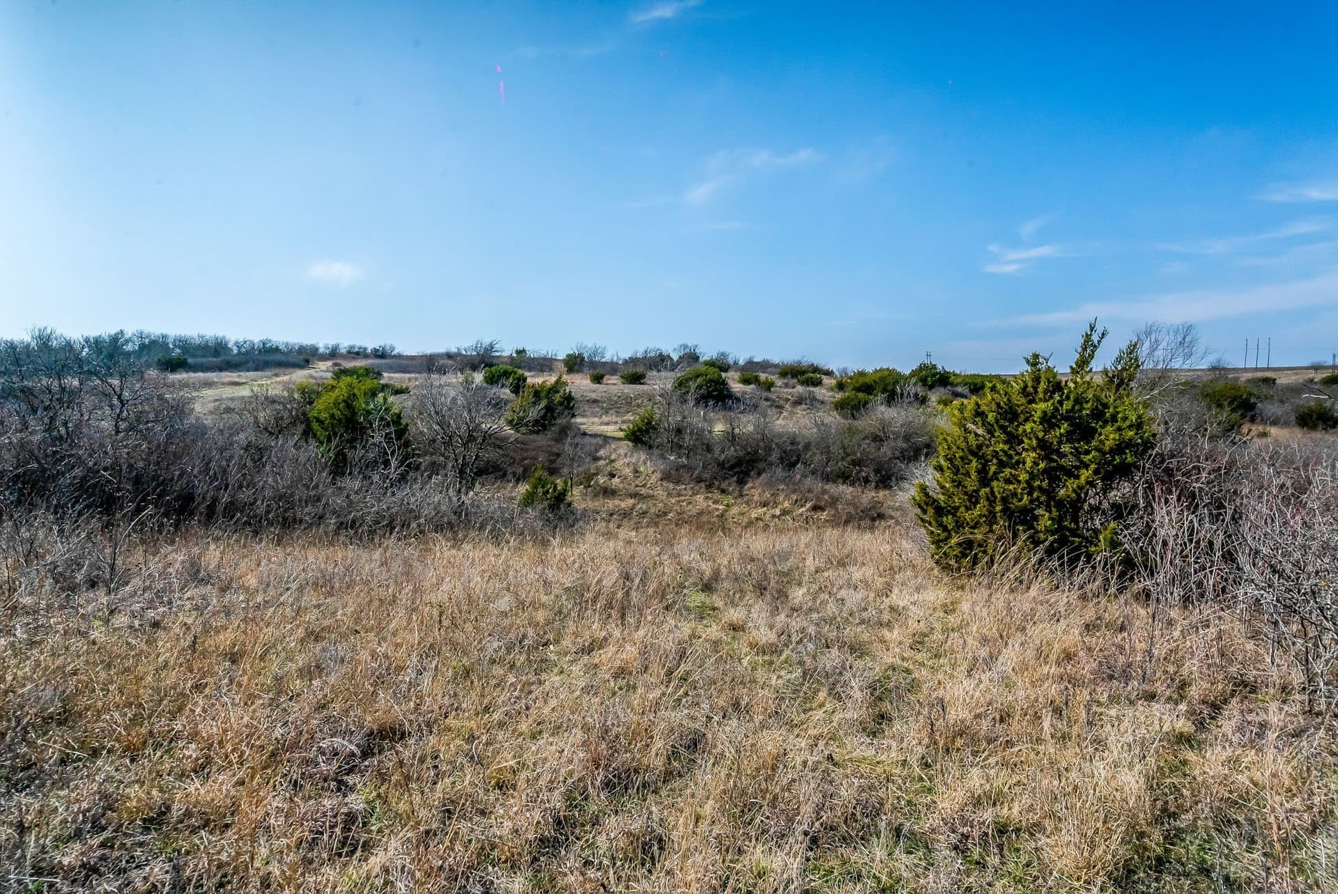 67 acres in Parker County - photo 22
