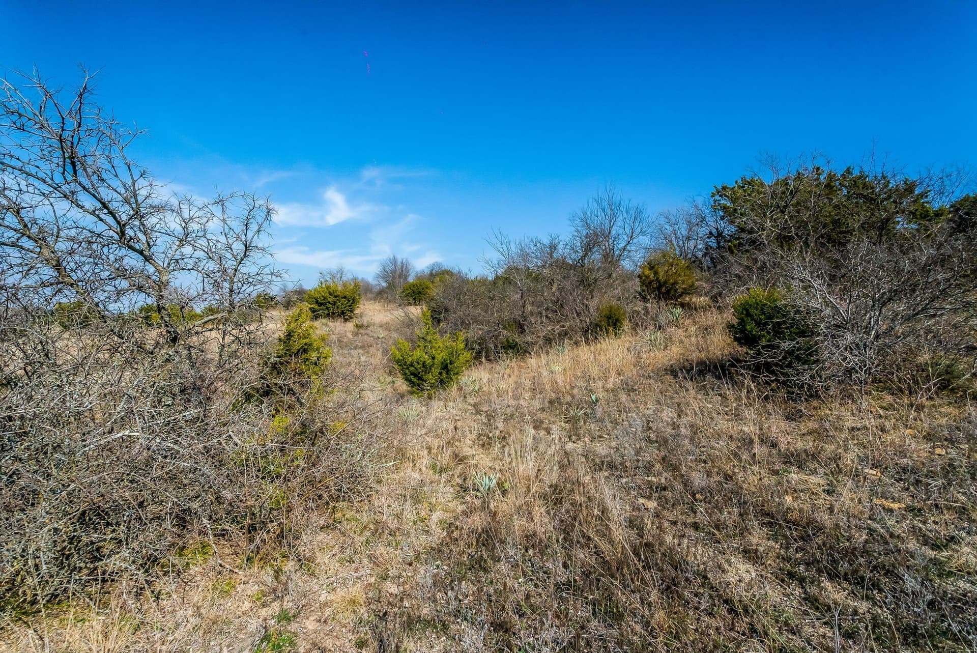 67 acres in Parker County - photo 23