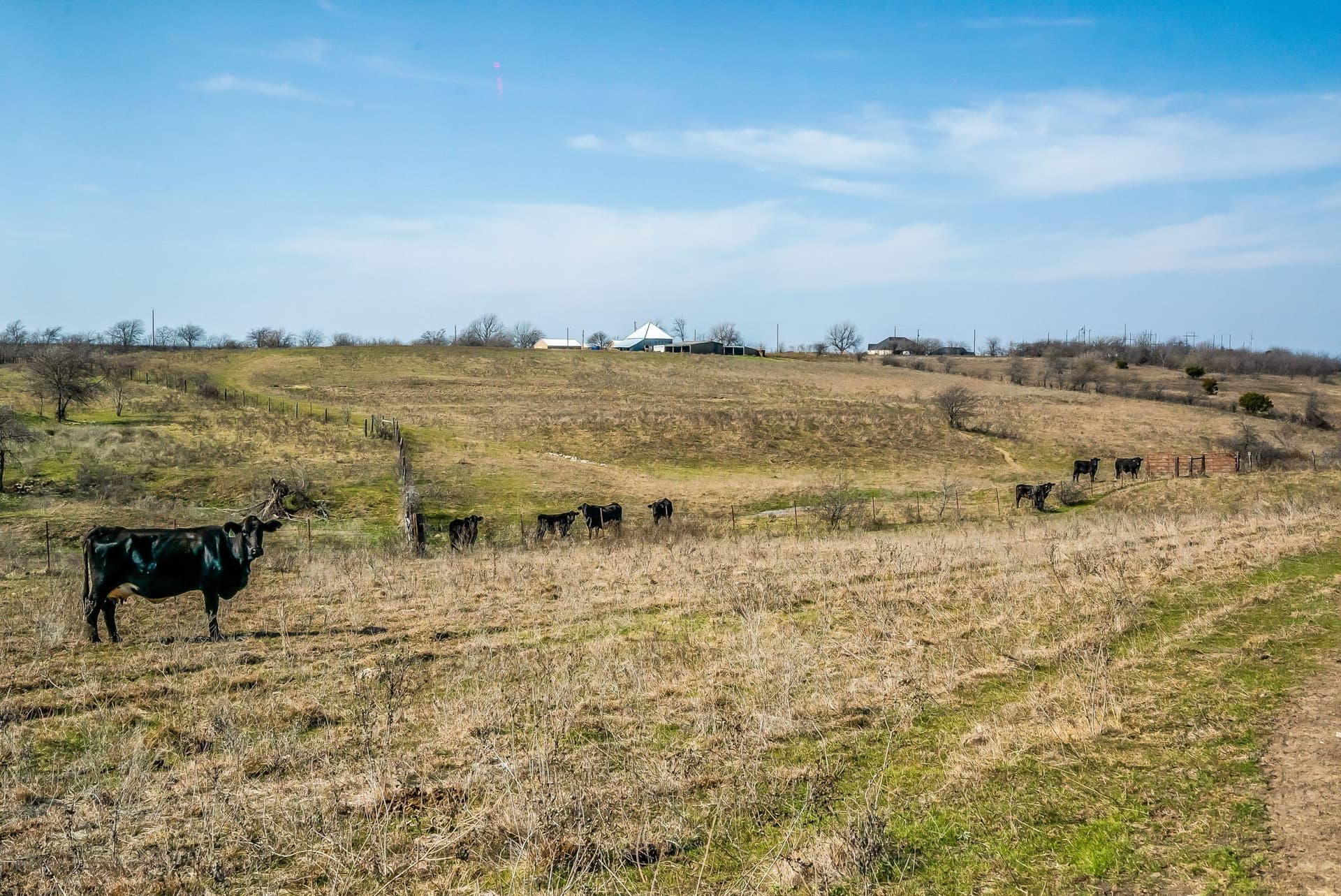 67 acres in Parker County - photo 31