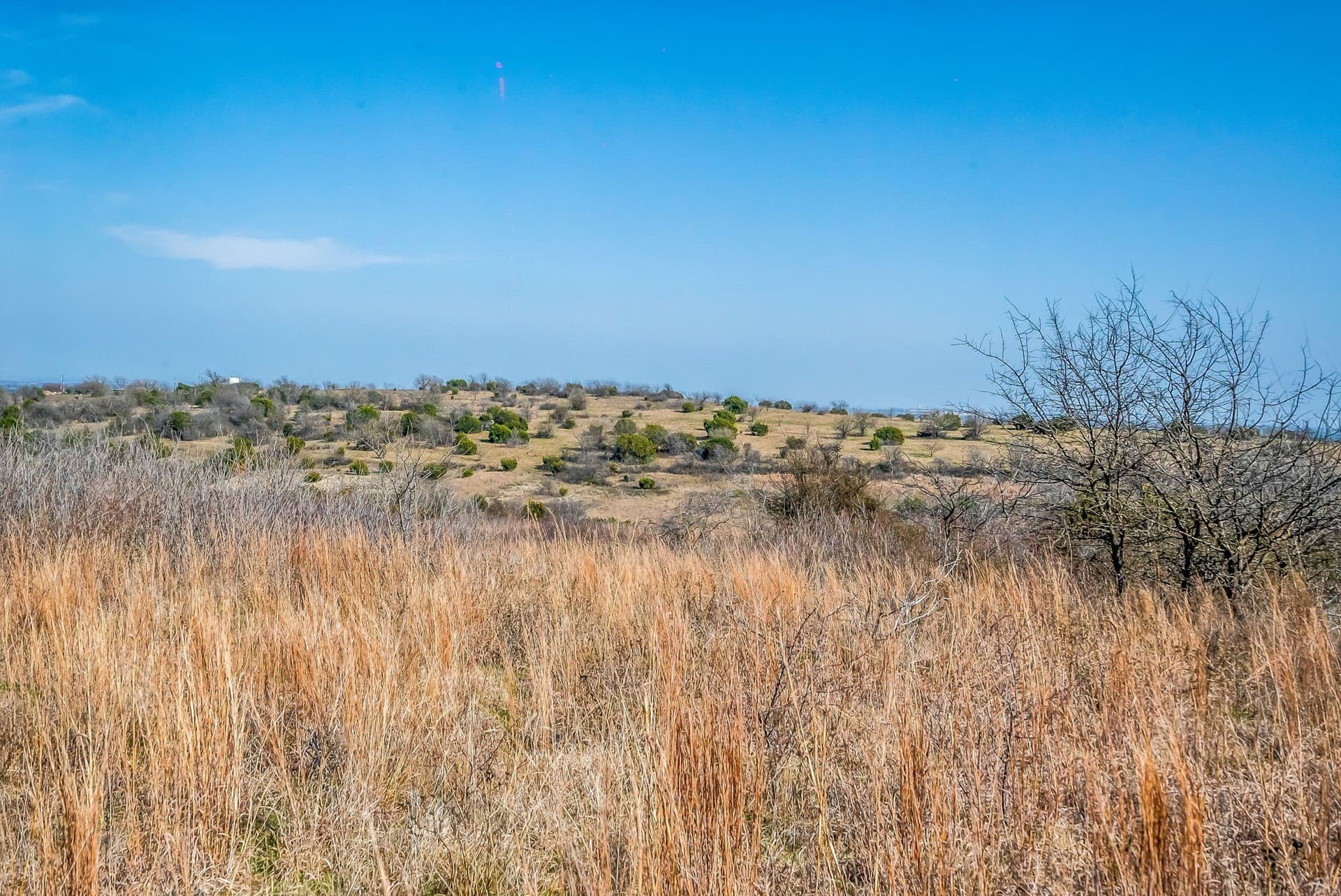 67 acres in Parker County - photo 3
