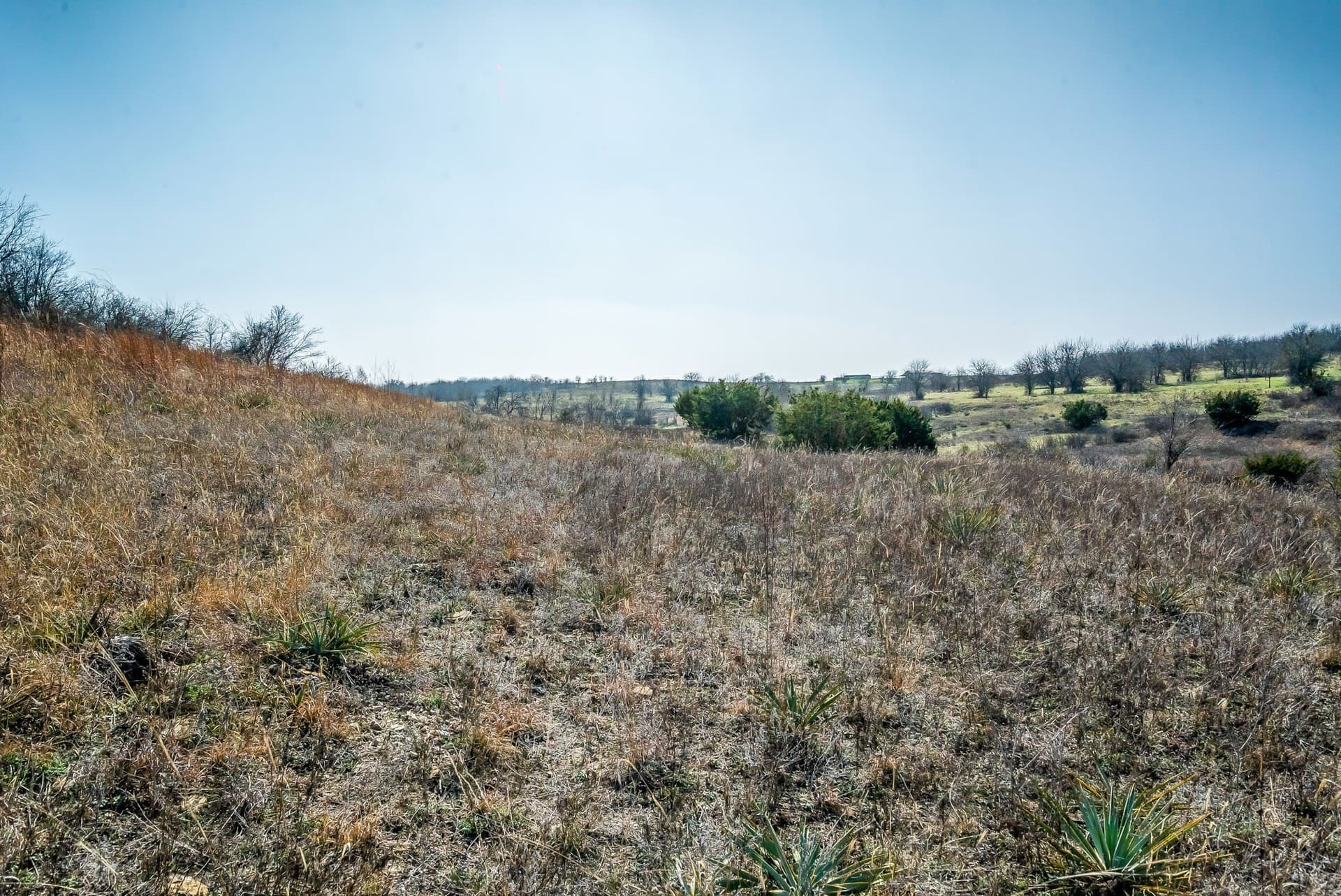 67 acres in Parker County - photo 8