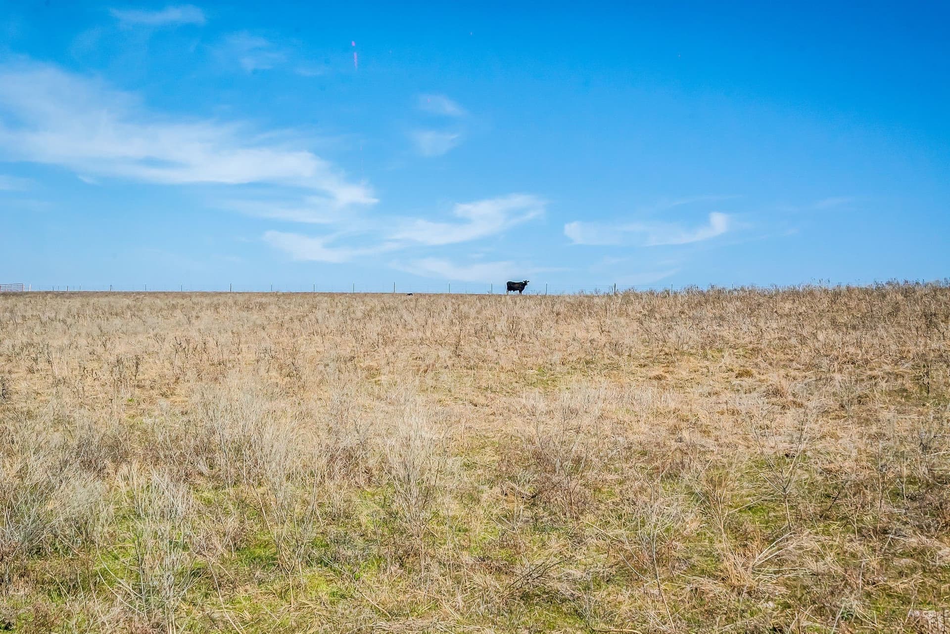 67 acres in Parker County - photo 5