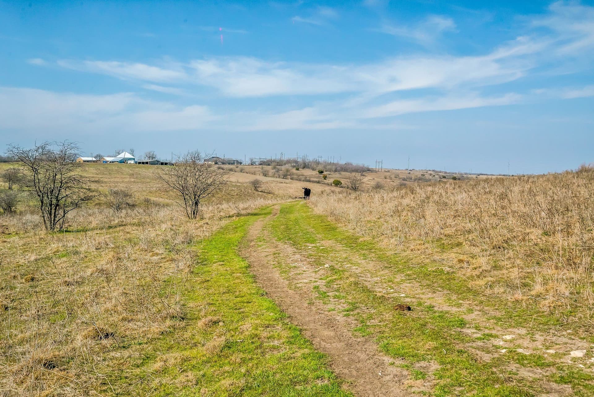 67 acres in Parker County - photo 6