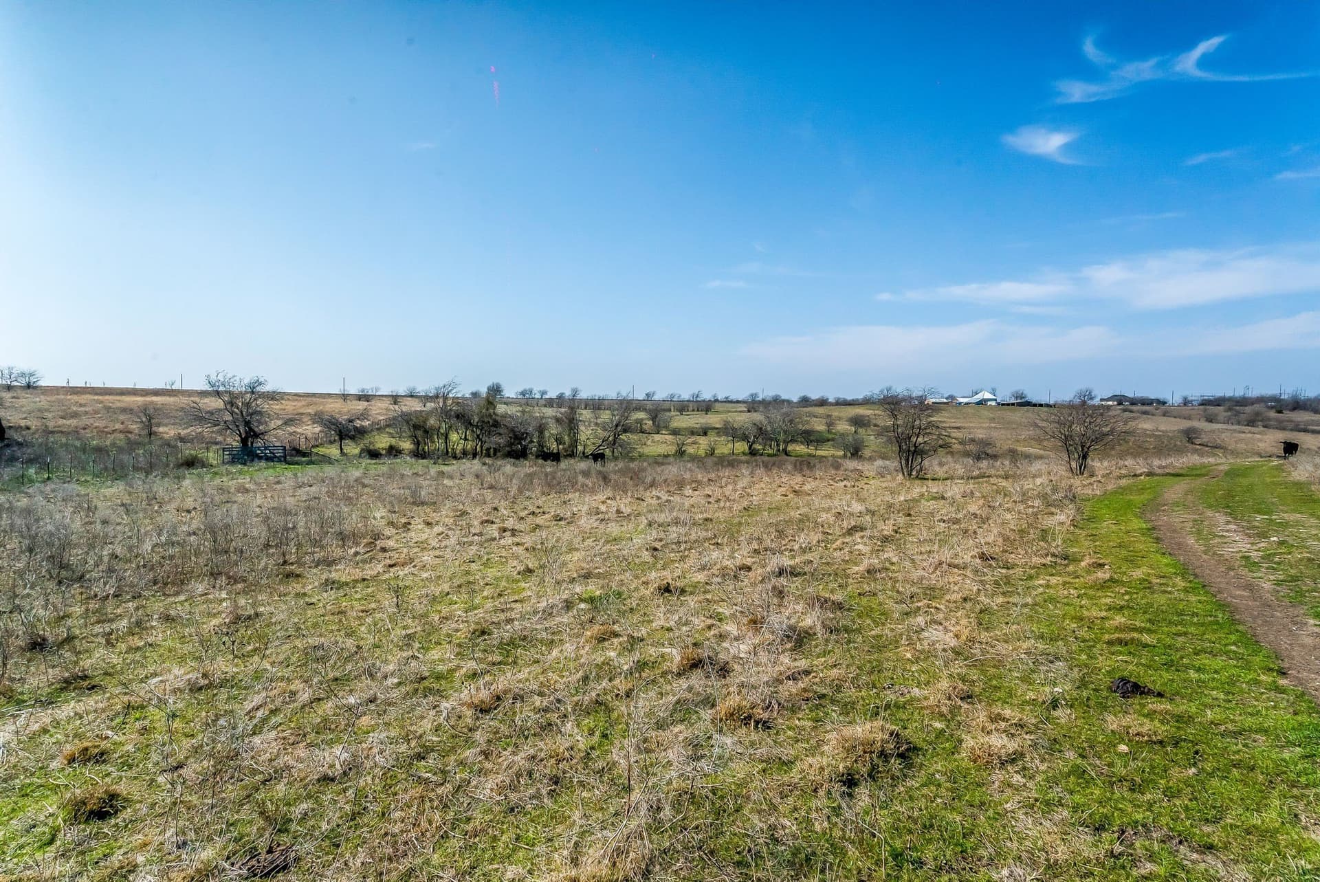67 acres in Parker County - photo 30