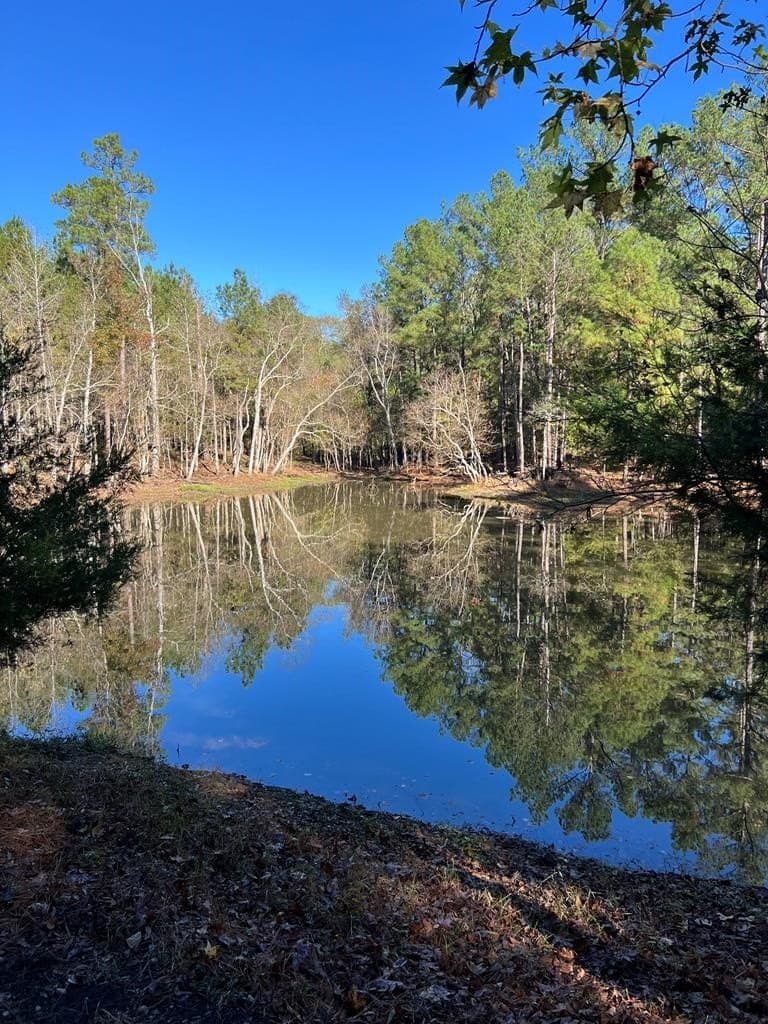 12 acres in Texas County - photo 39