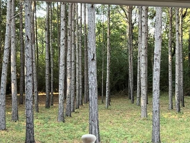 12 acres in Texas County - photo 33