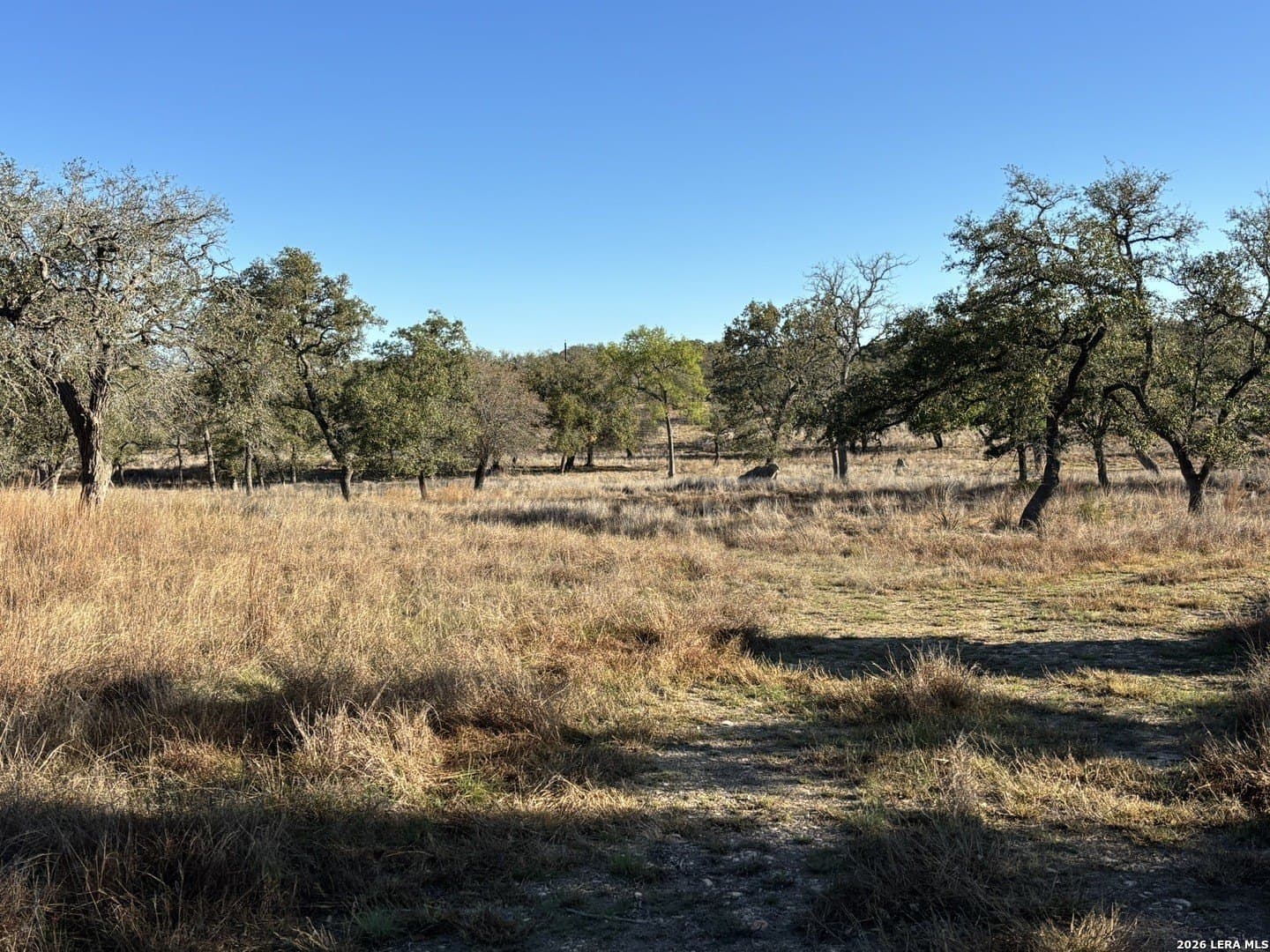 13.5 acres in Kendall County gallery image 4