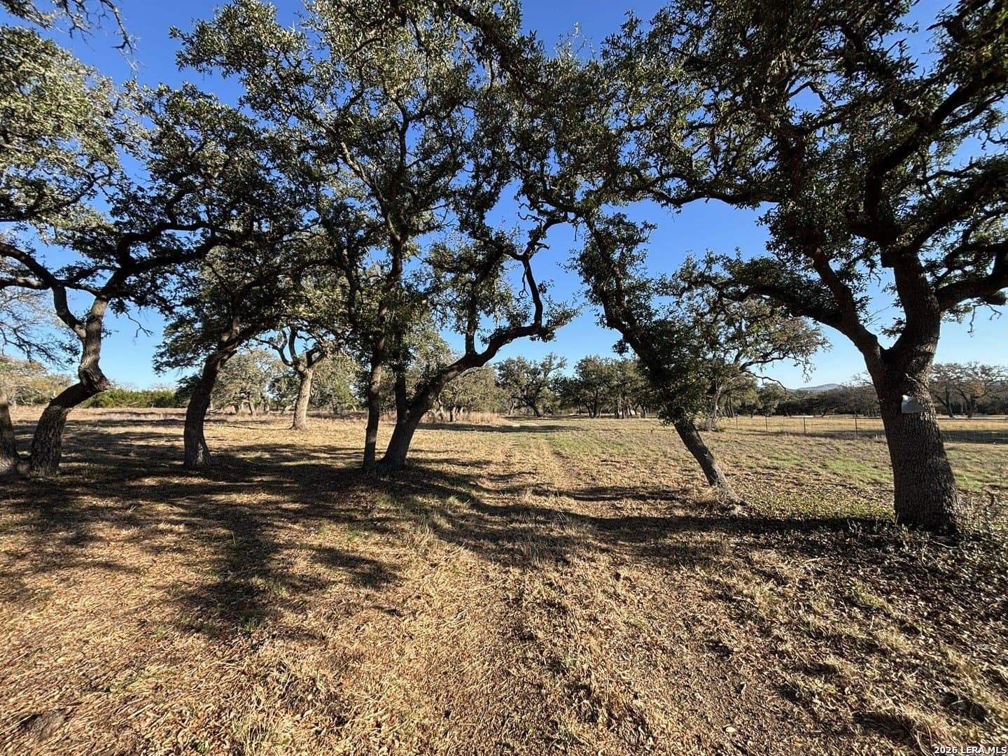 13.5 acres in Kendall County gallery image 2