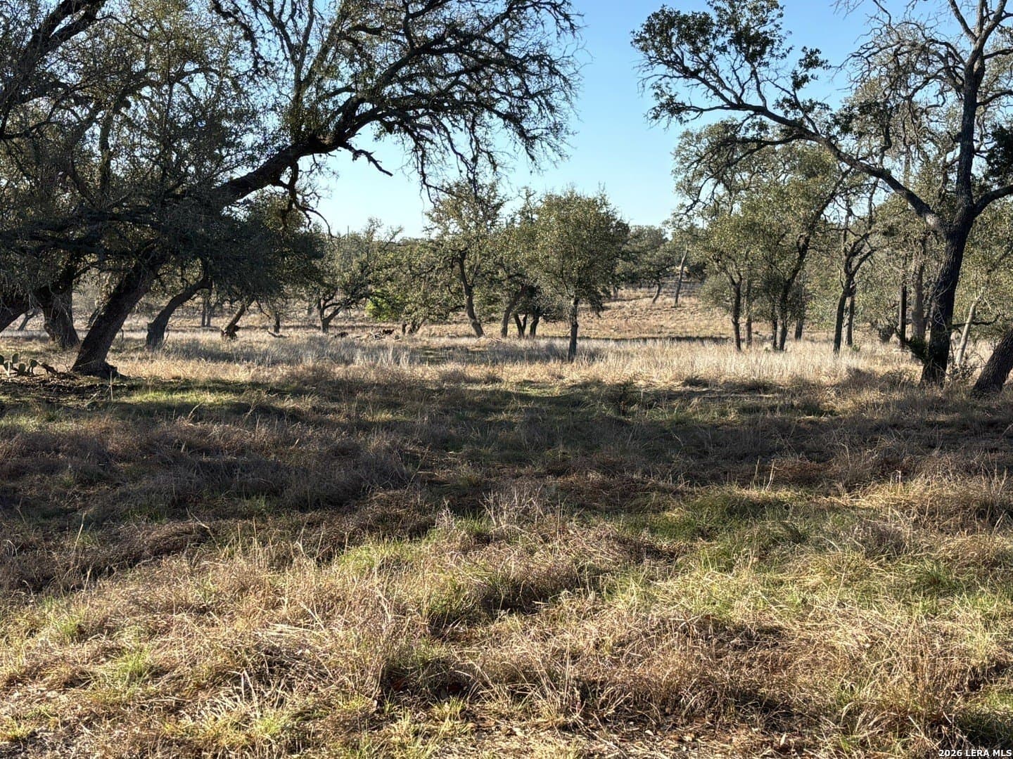 13.5 acres in Kendall County featured view