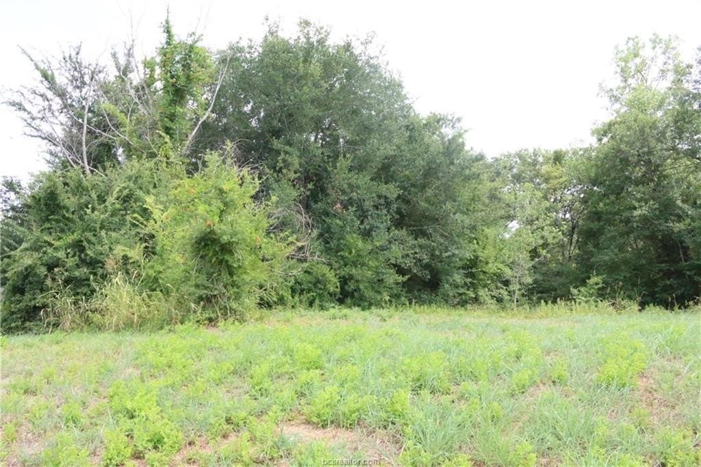0.48 acres in Brazos County - photo 6