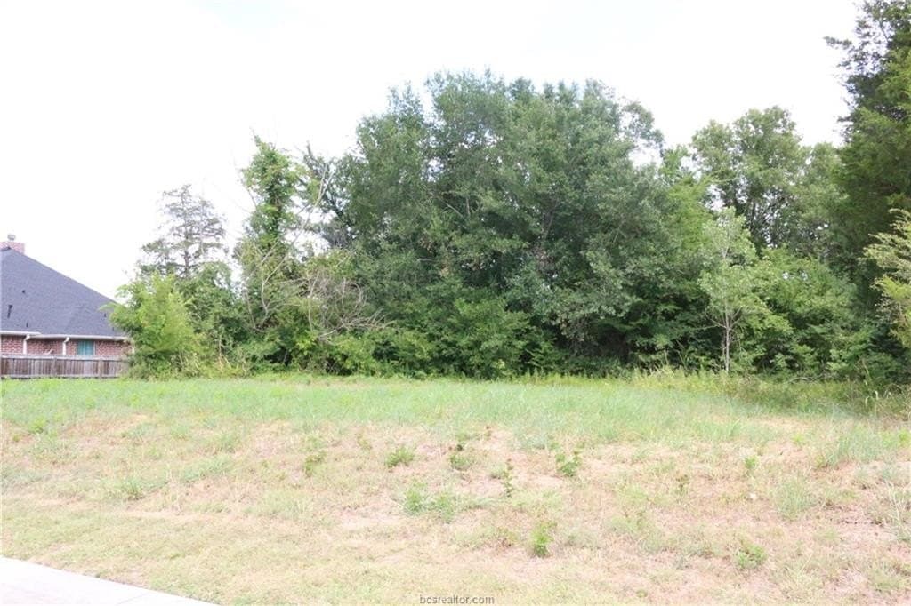 0.48 acres in Brazos County gallery image 2