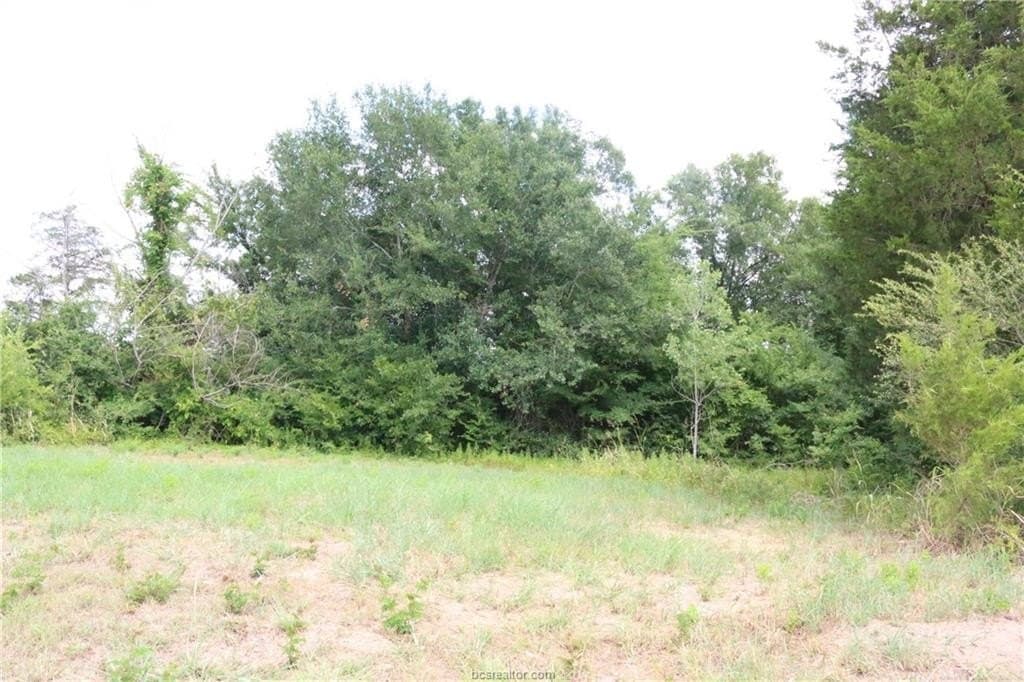 0.48 acres in Brazos County - photo 8