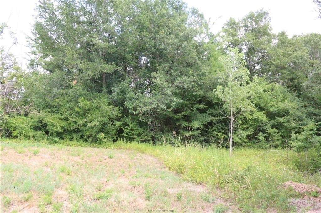 0.48 acres in Brazos County - photo 7