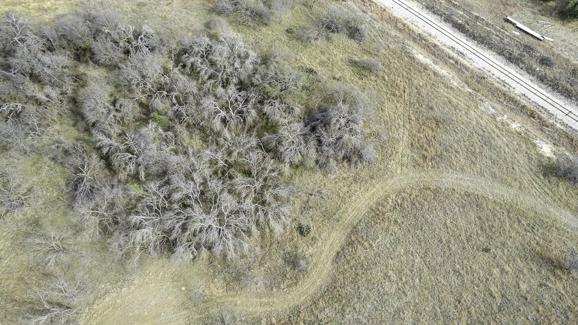 103.3 acres in Comanche County - photo 17