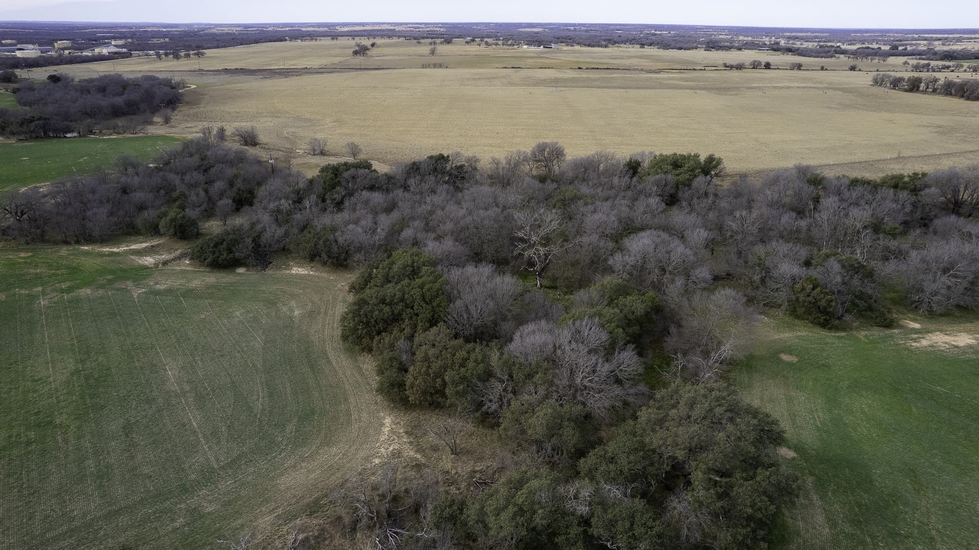 103.3 acres in Comanche County - photo 9