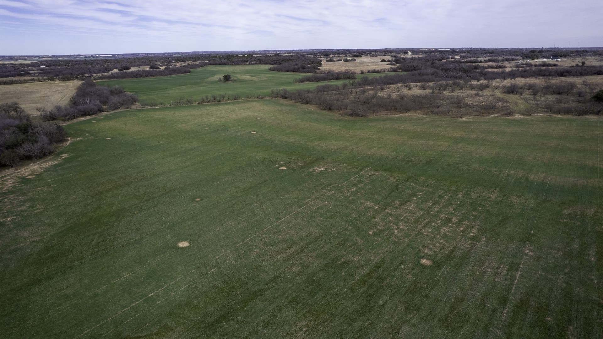 103.3 acres in Comanche County - photo 8