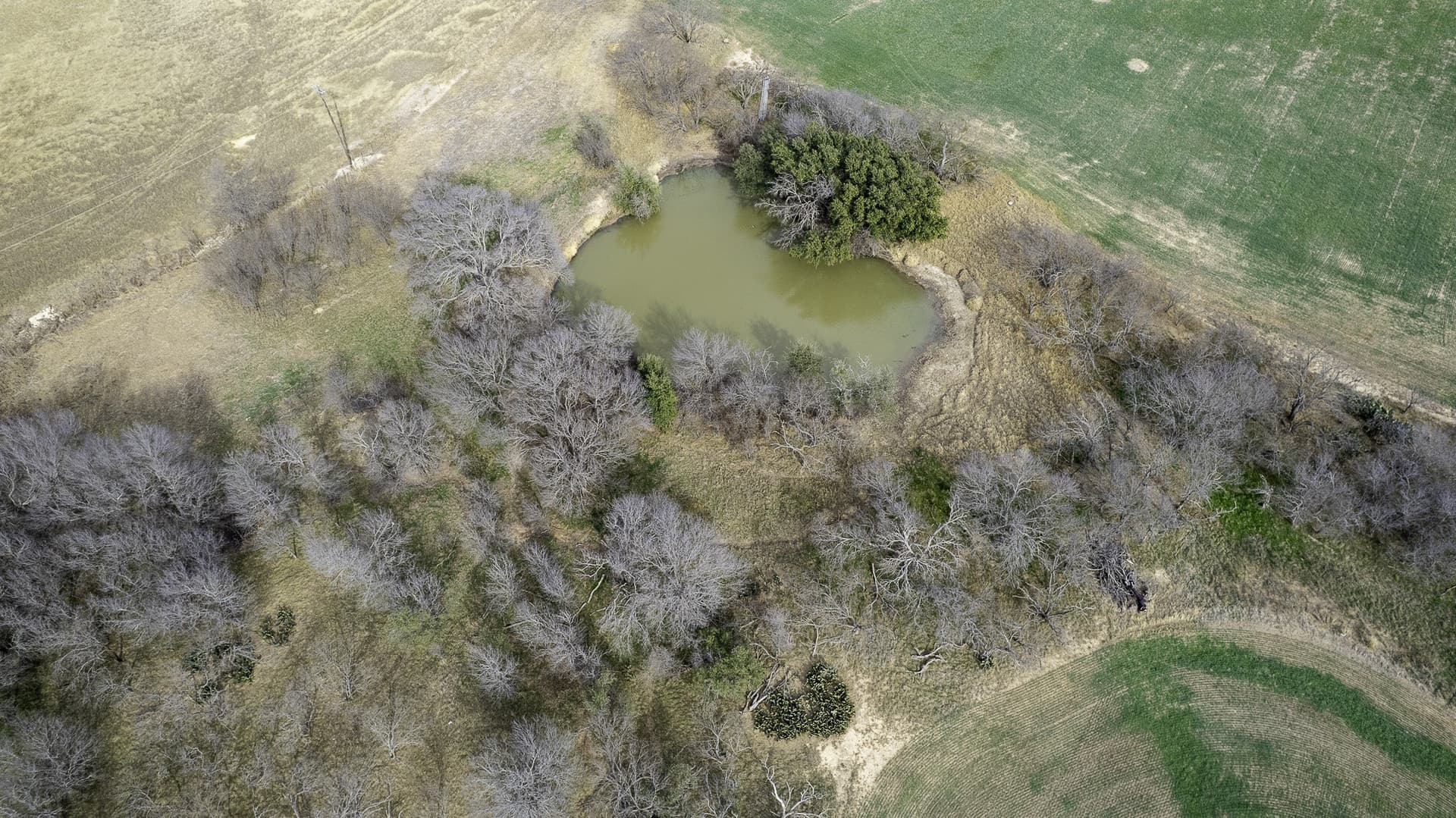 103.3 acres in Comanche County - photo 5