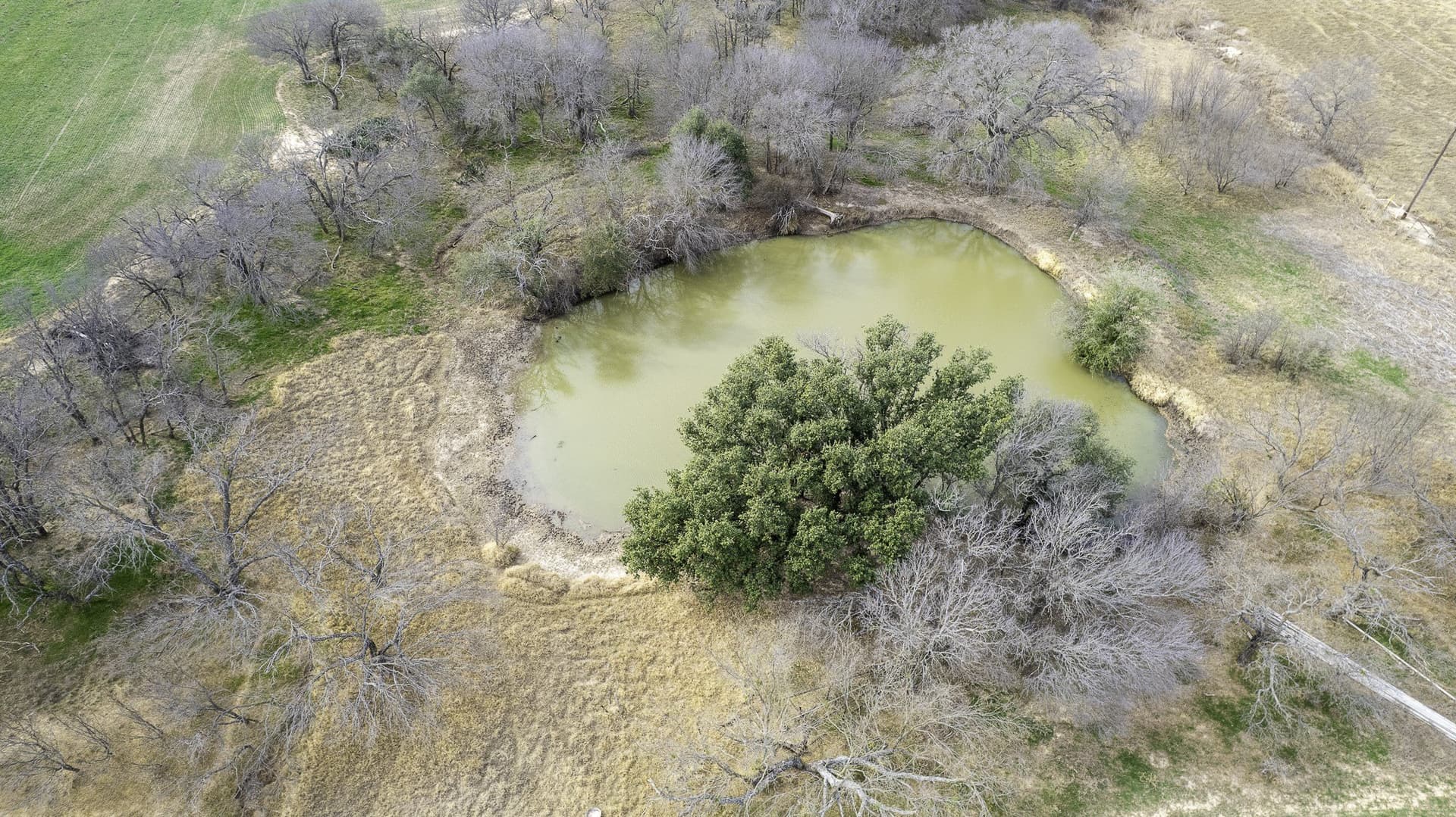 103.3 acres in Comanche County - photo 6