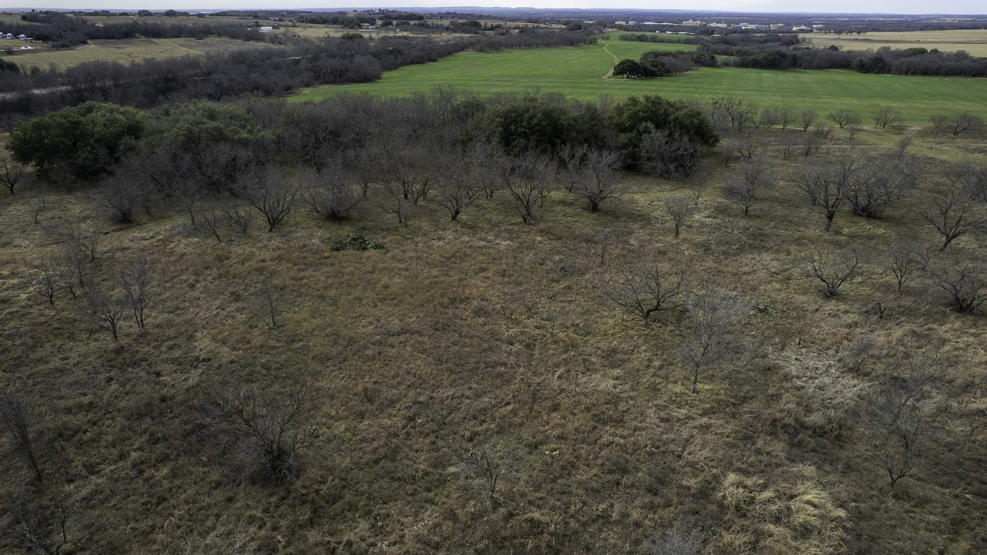 103.3 acres in Comanche County - photo 16