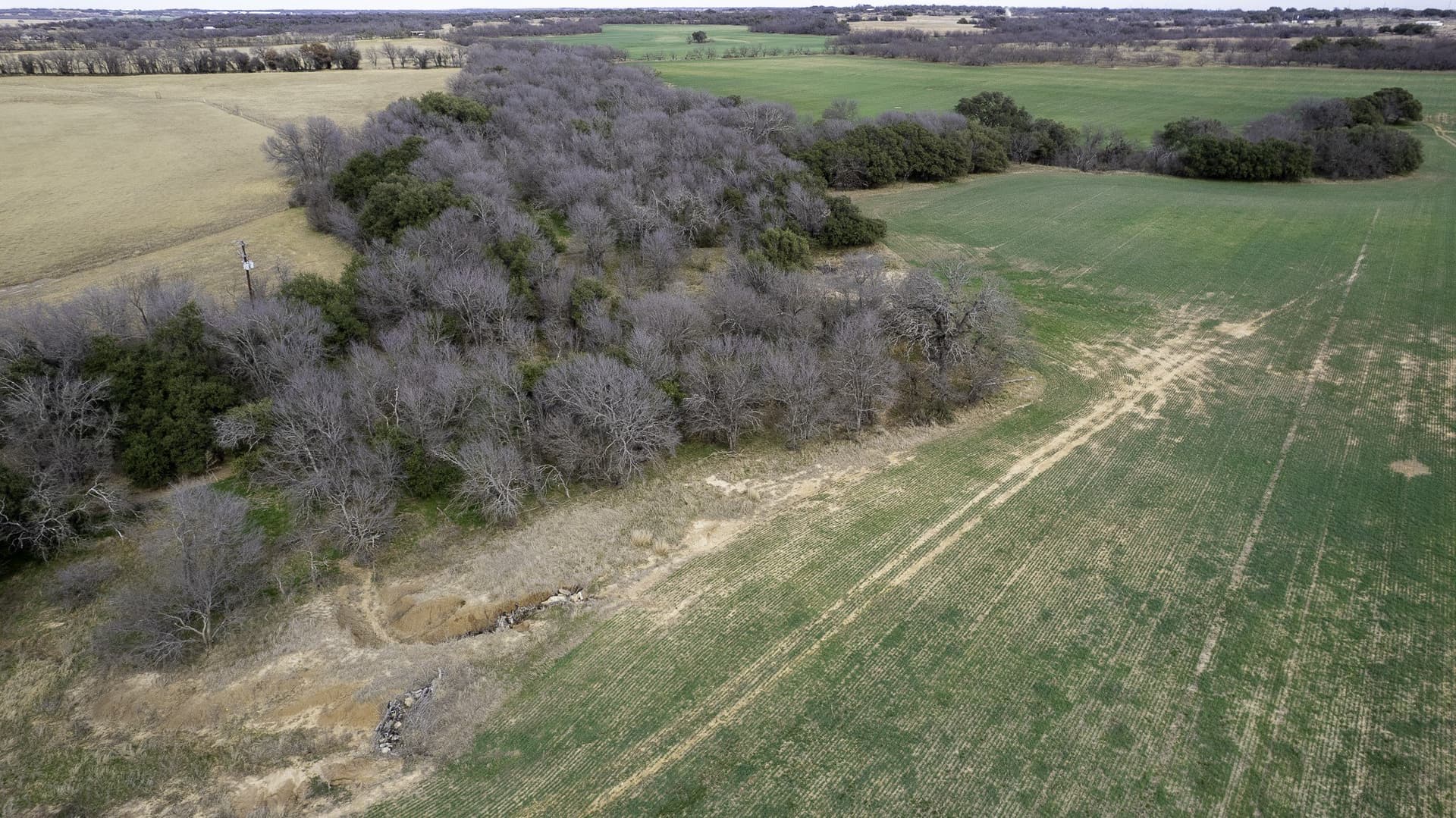 103.3 acres in Comanche County - photo 7