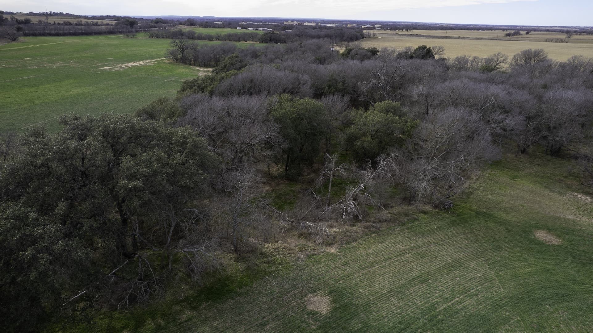 103.3 acres in Comanche County - photo 12
