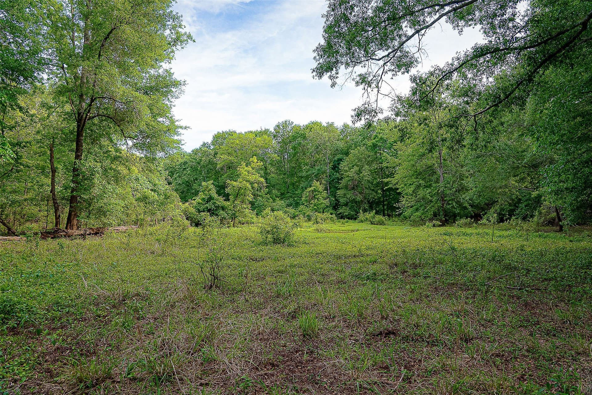 245.6 acres in Cherokee County - photo 12