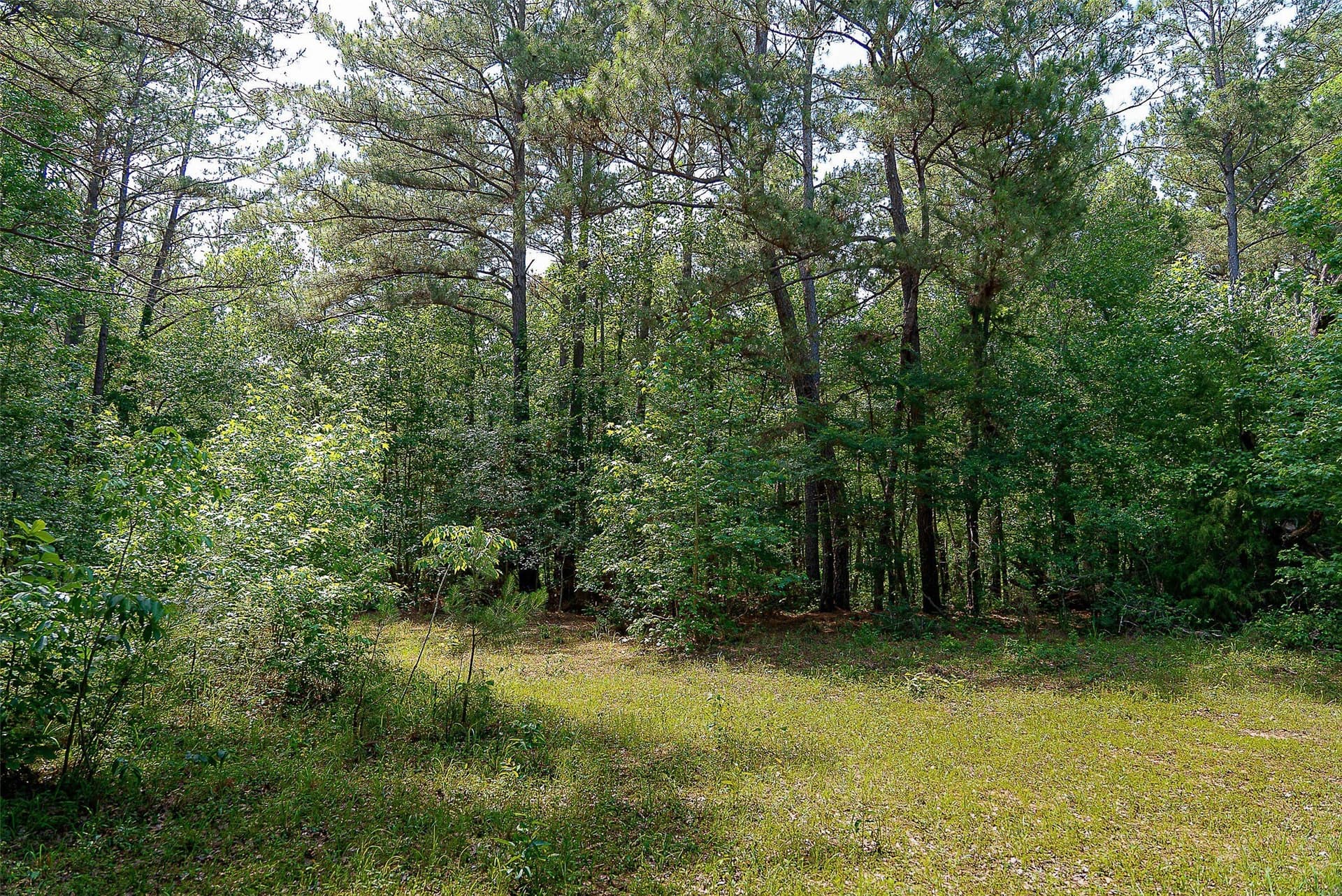 245.6 acres in Cherokee County - photo 35