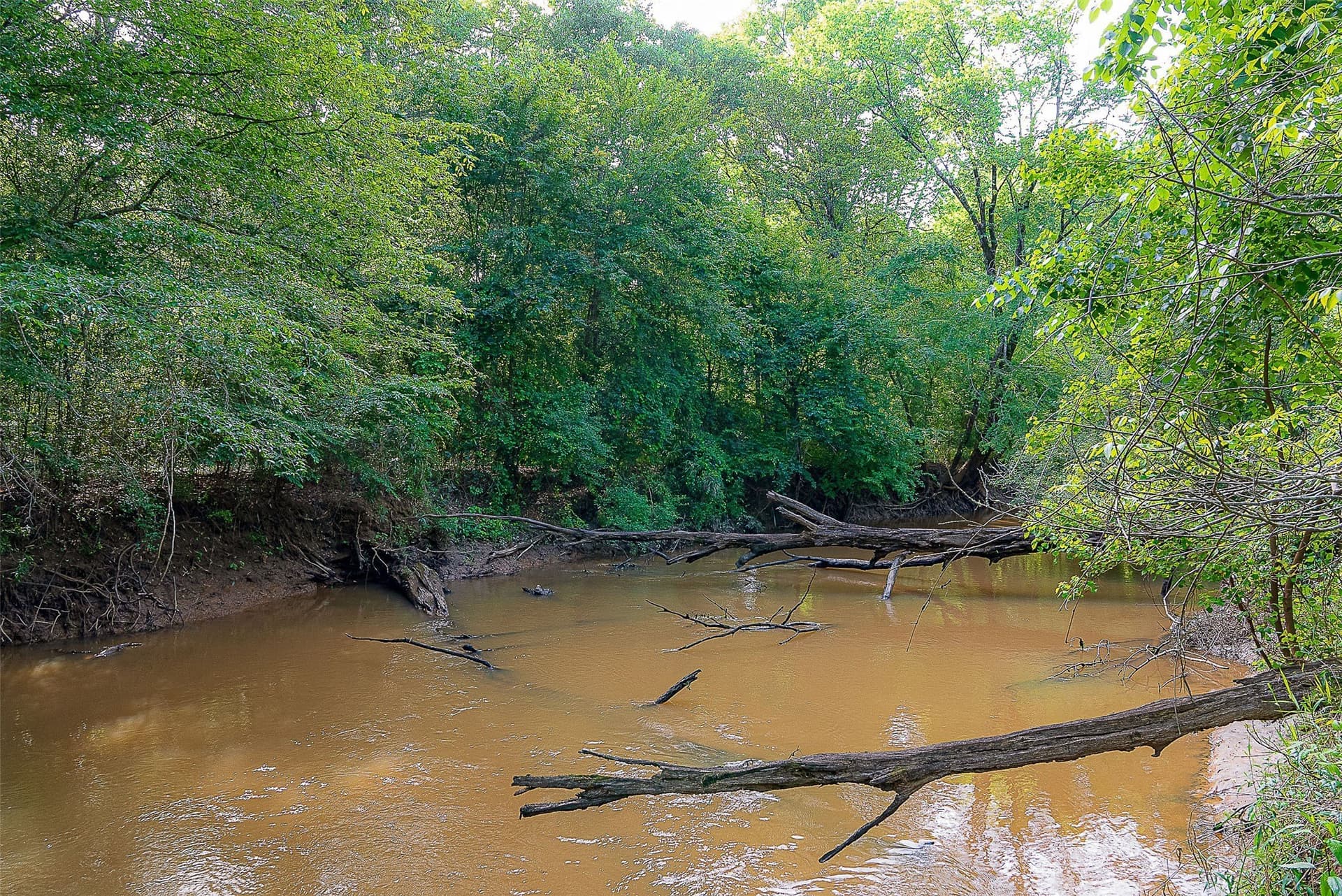 245.6 acres in Cherokee County - photo 29