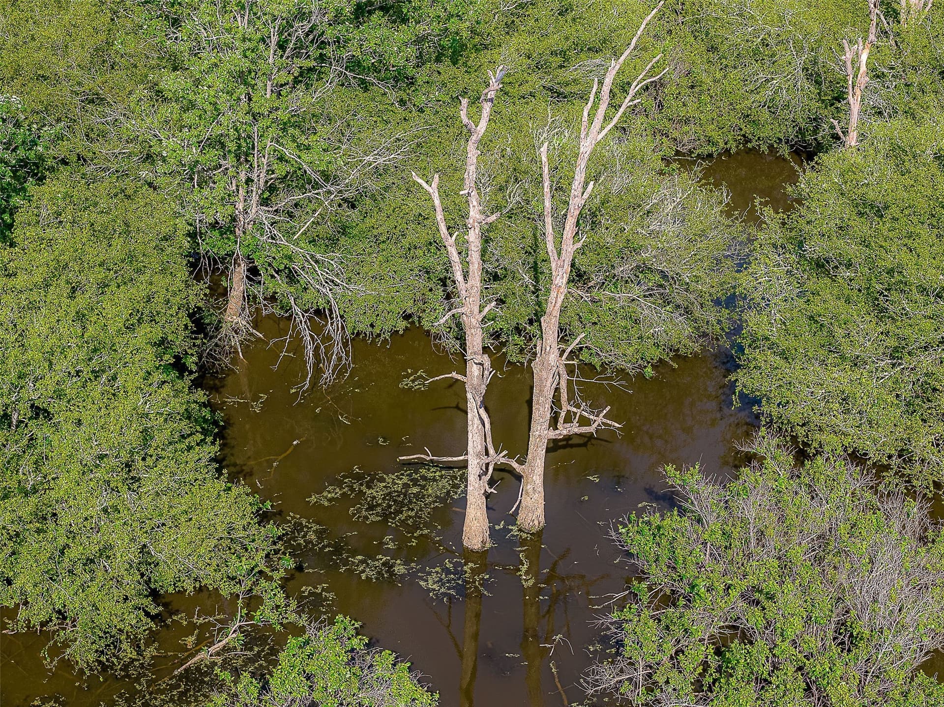 245.6 acres in Cherokee County - photo 20