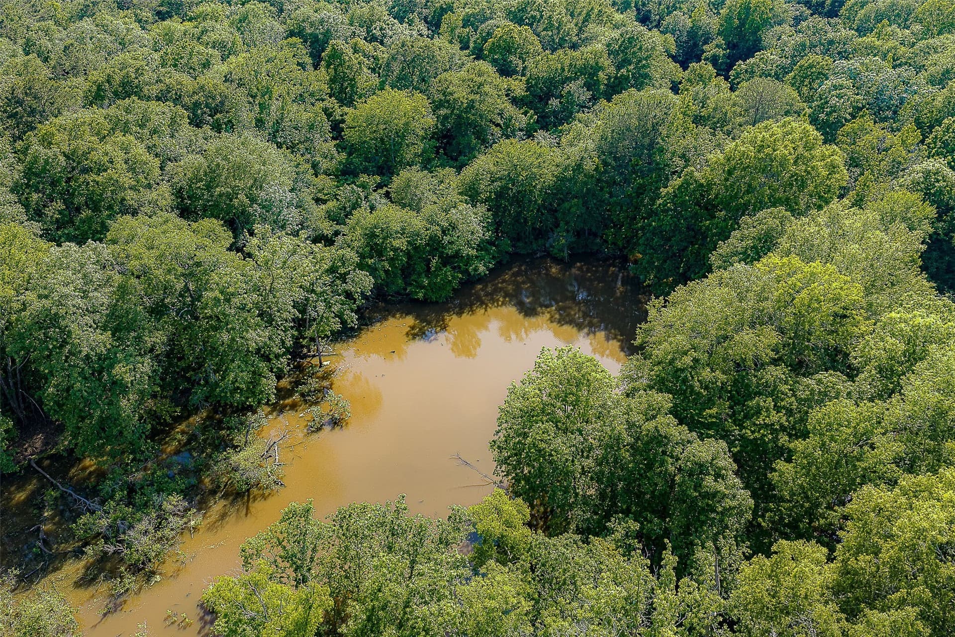 245.6 acres in Cherokee County - photo 36