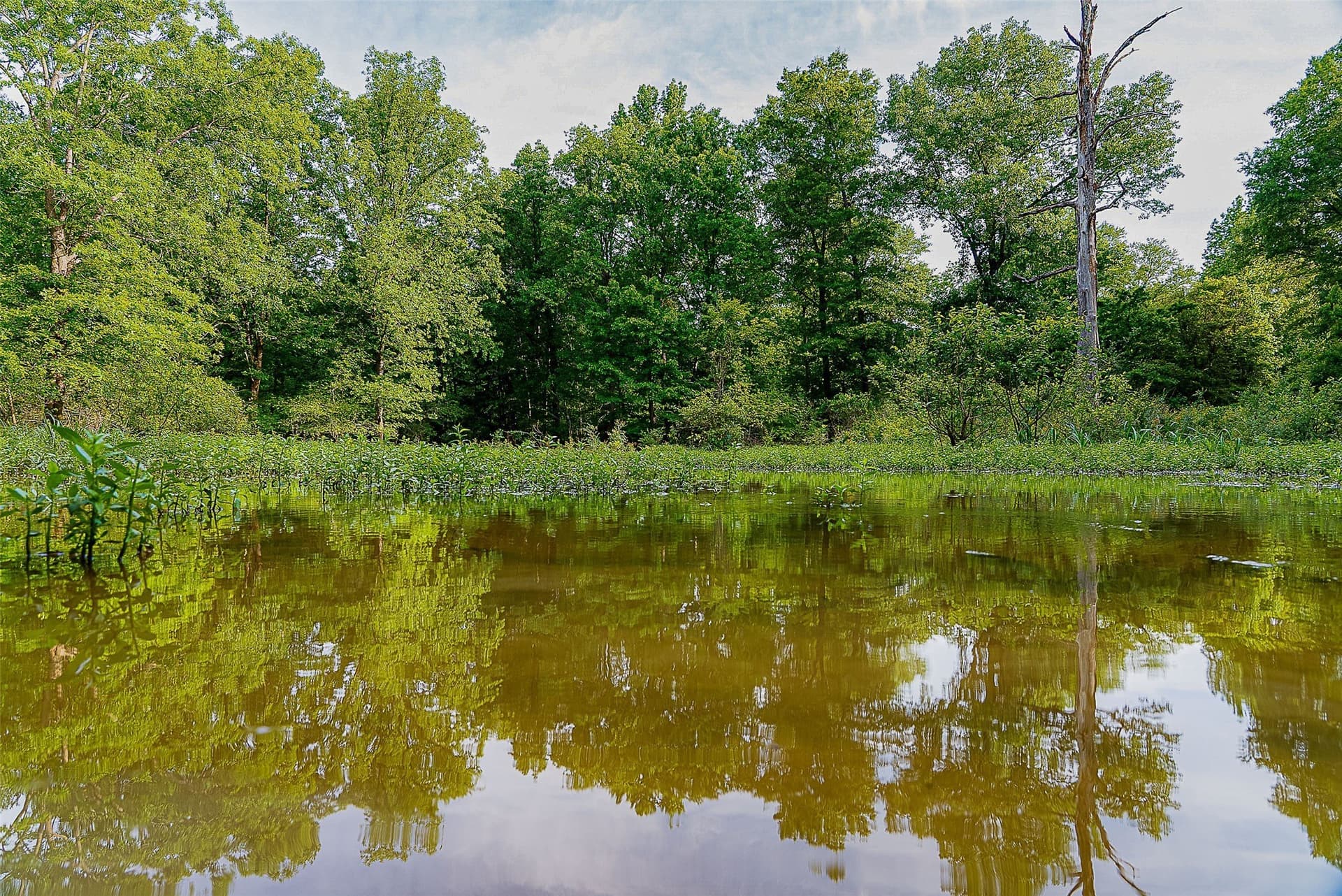 245.6 acres in Cherokee County - photo 15