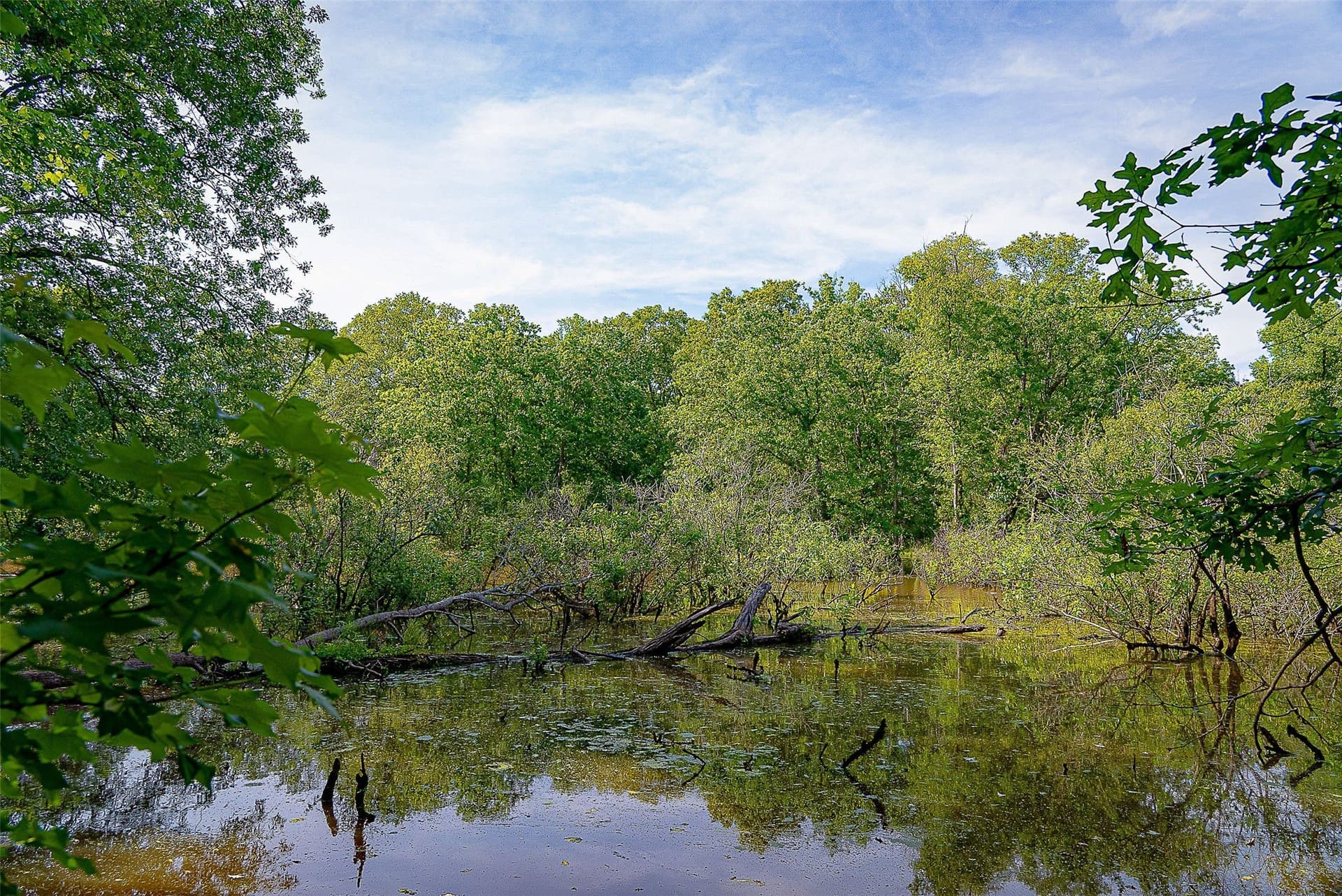 245.6 acres in Cherokee County - photo 17