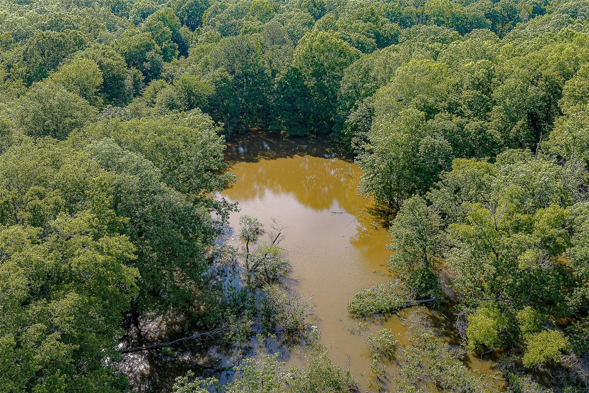 245.6 acres in Cherokee County - photo 14